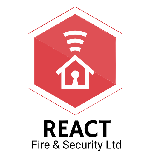 medium.webp