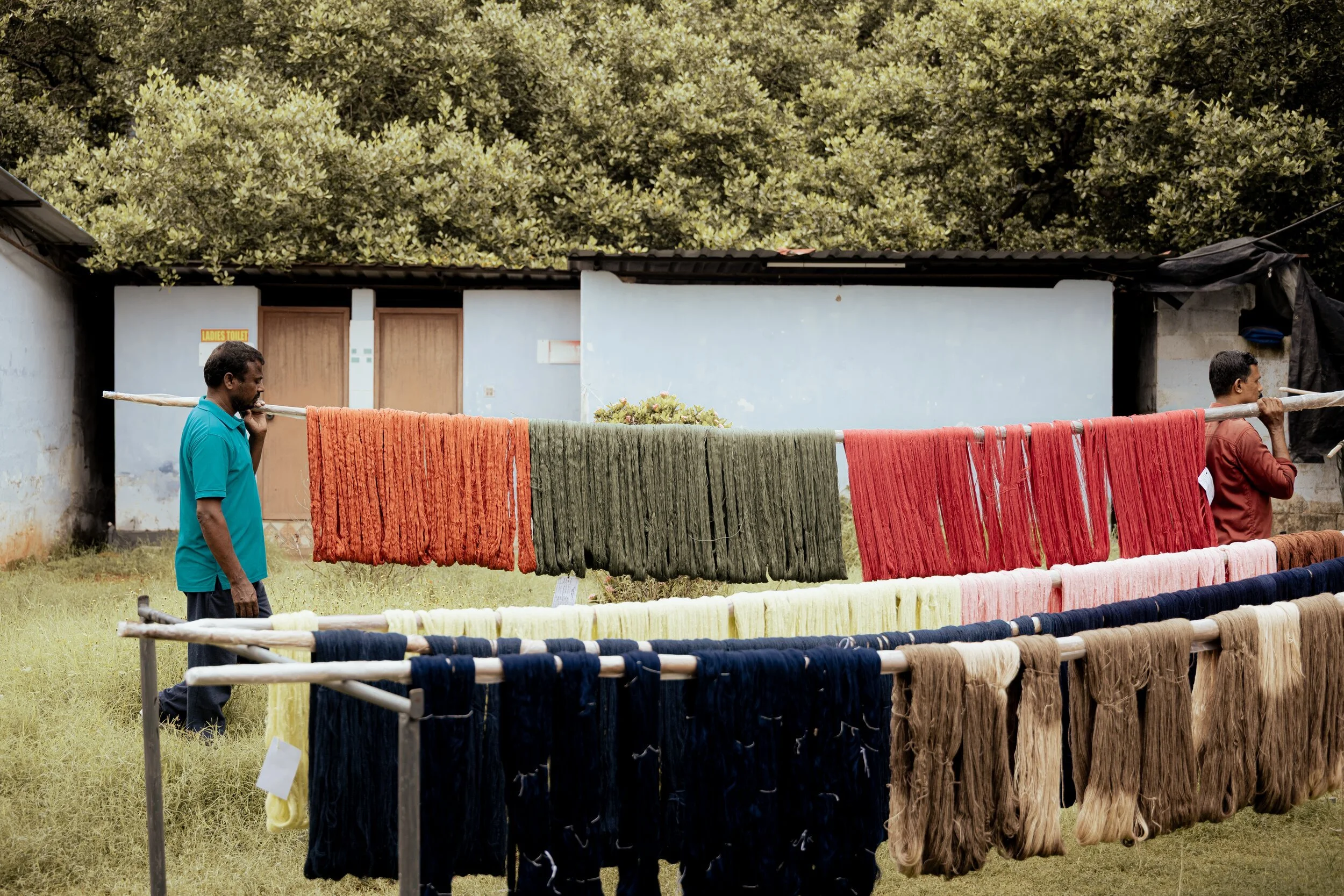 Two men drying colorful dyed yarn or fabric on horizontal poles outside in a grassy area, with a light blue building and green trees in the background.