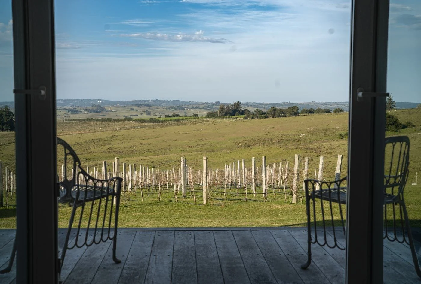 Galería de la habitación con vista al viñedo y las sierras