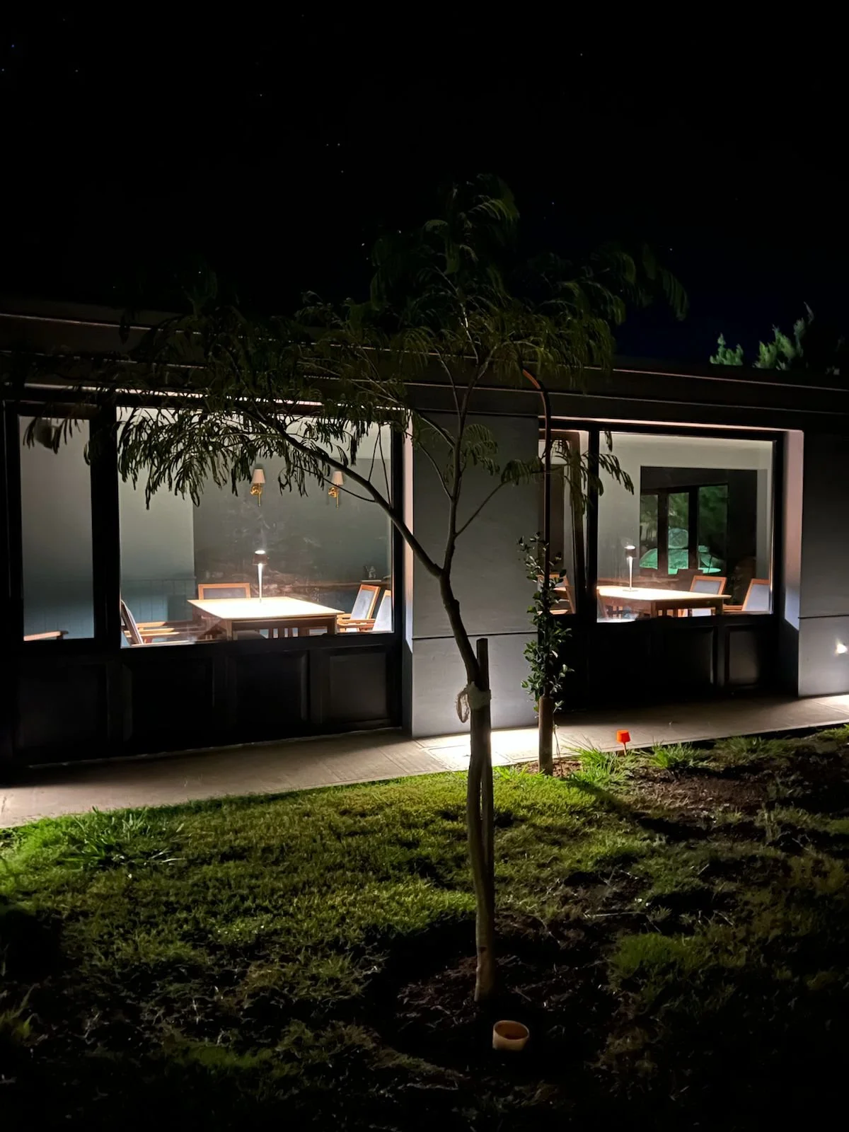 WhatsApp Image 2026-02-20 at 12.09.37 (2).jpeg