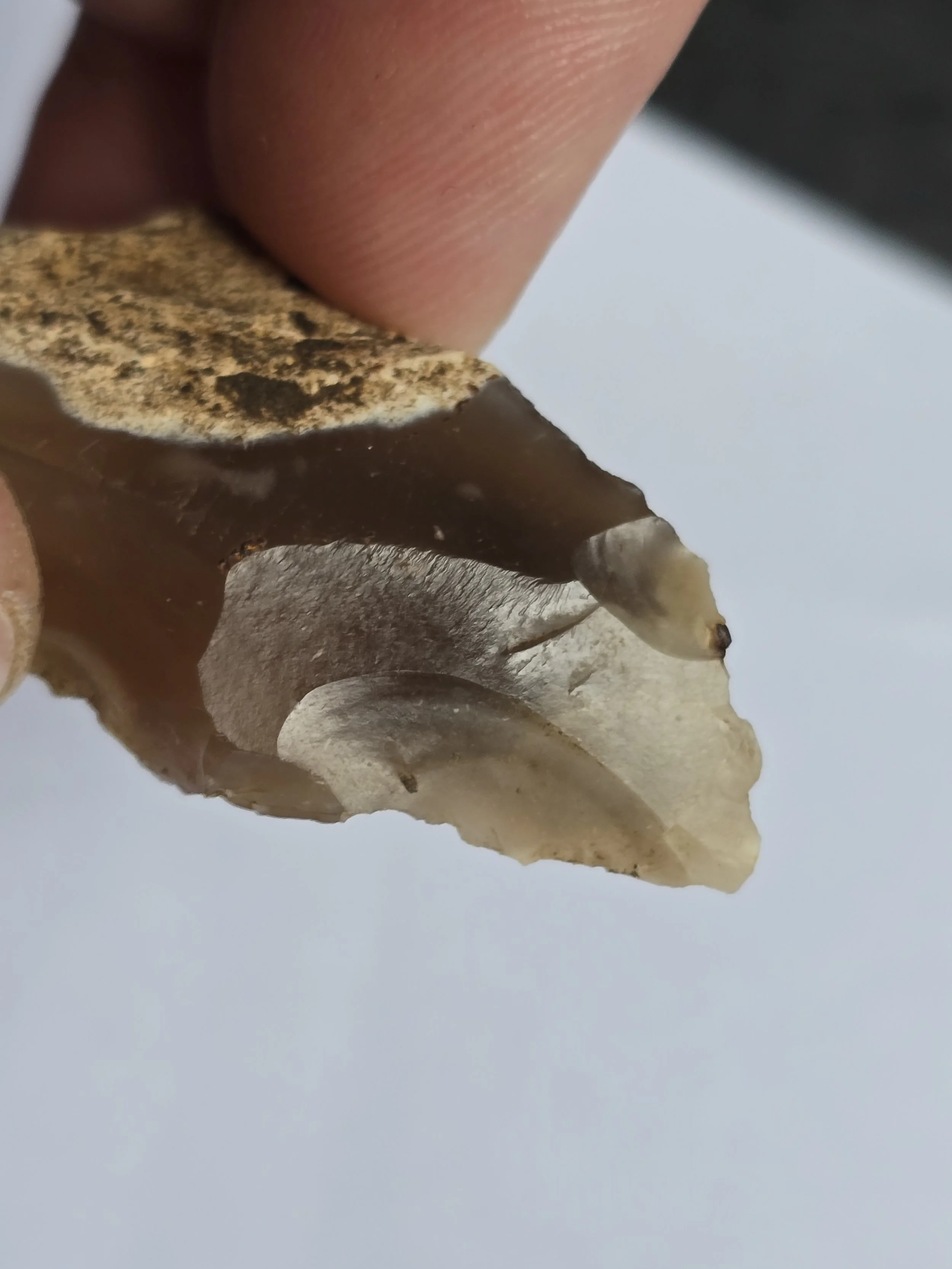 Notched flint tool - Culham Aug 2025