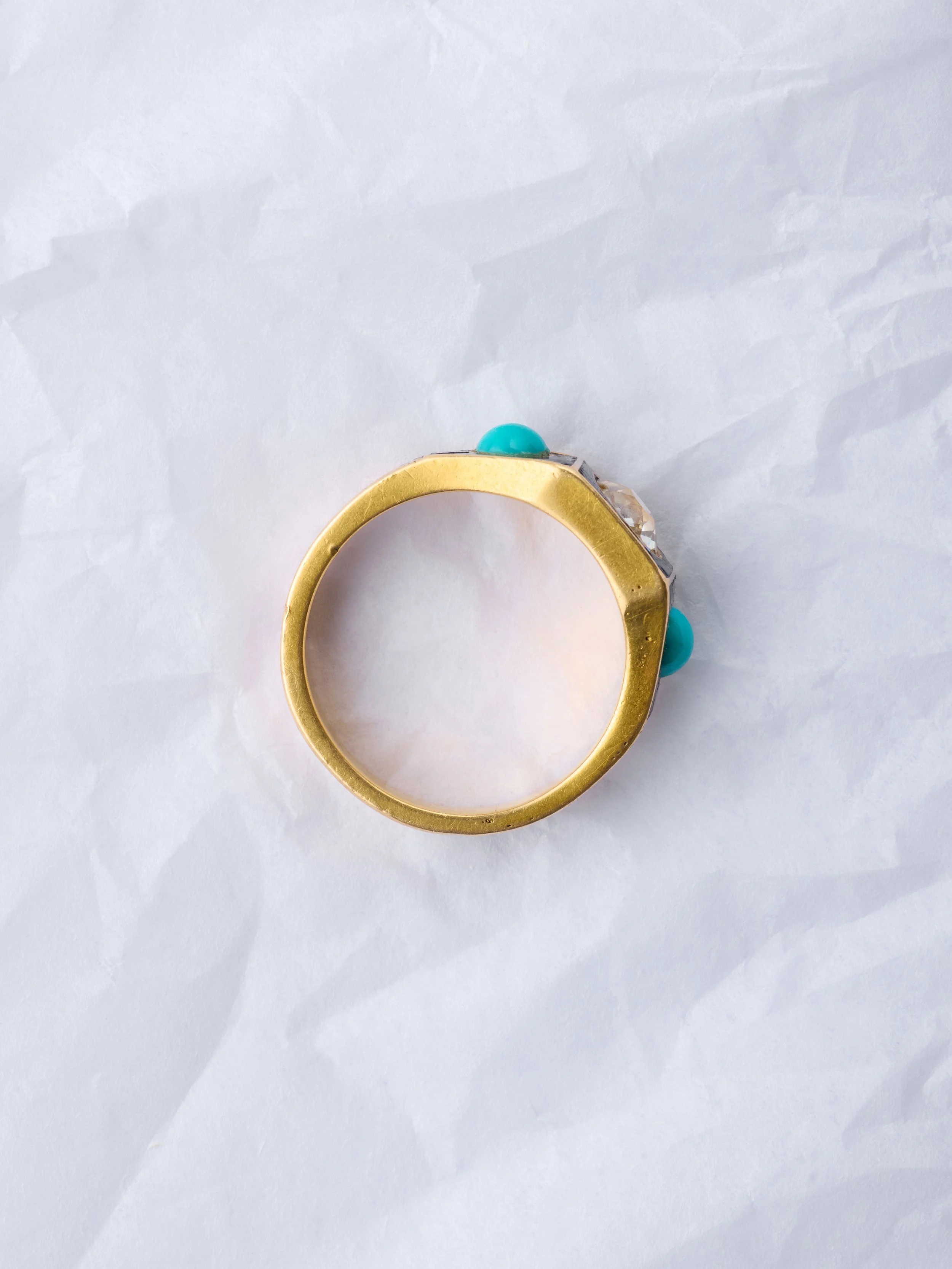 2026_03_02_OOA_Shot_05_131 copy.jpg