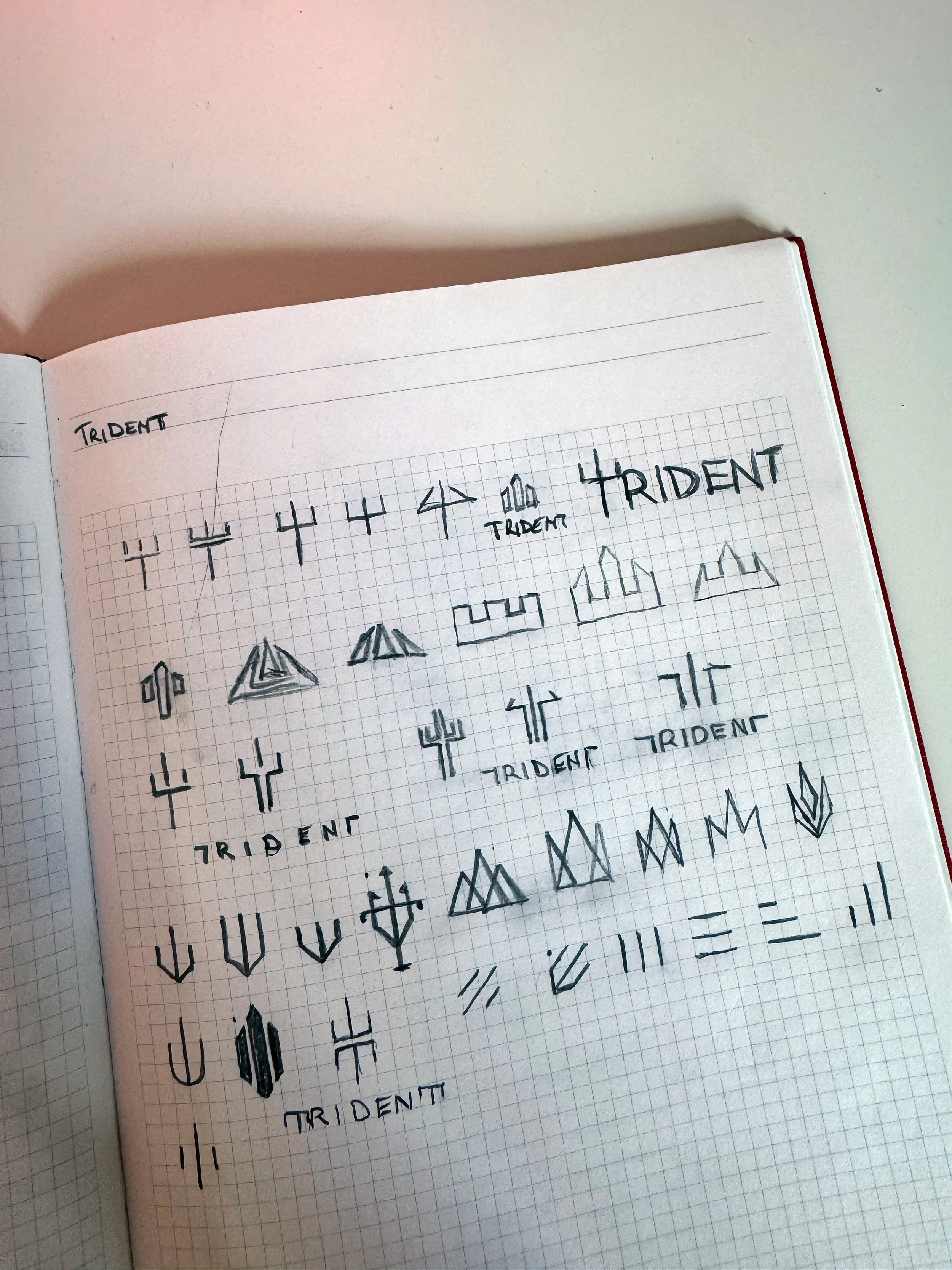 An image of Trident Marine Industry Plastics logo design sketches.