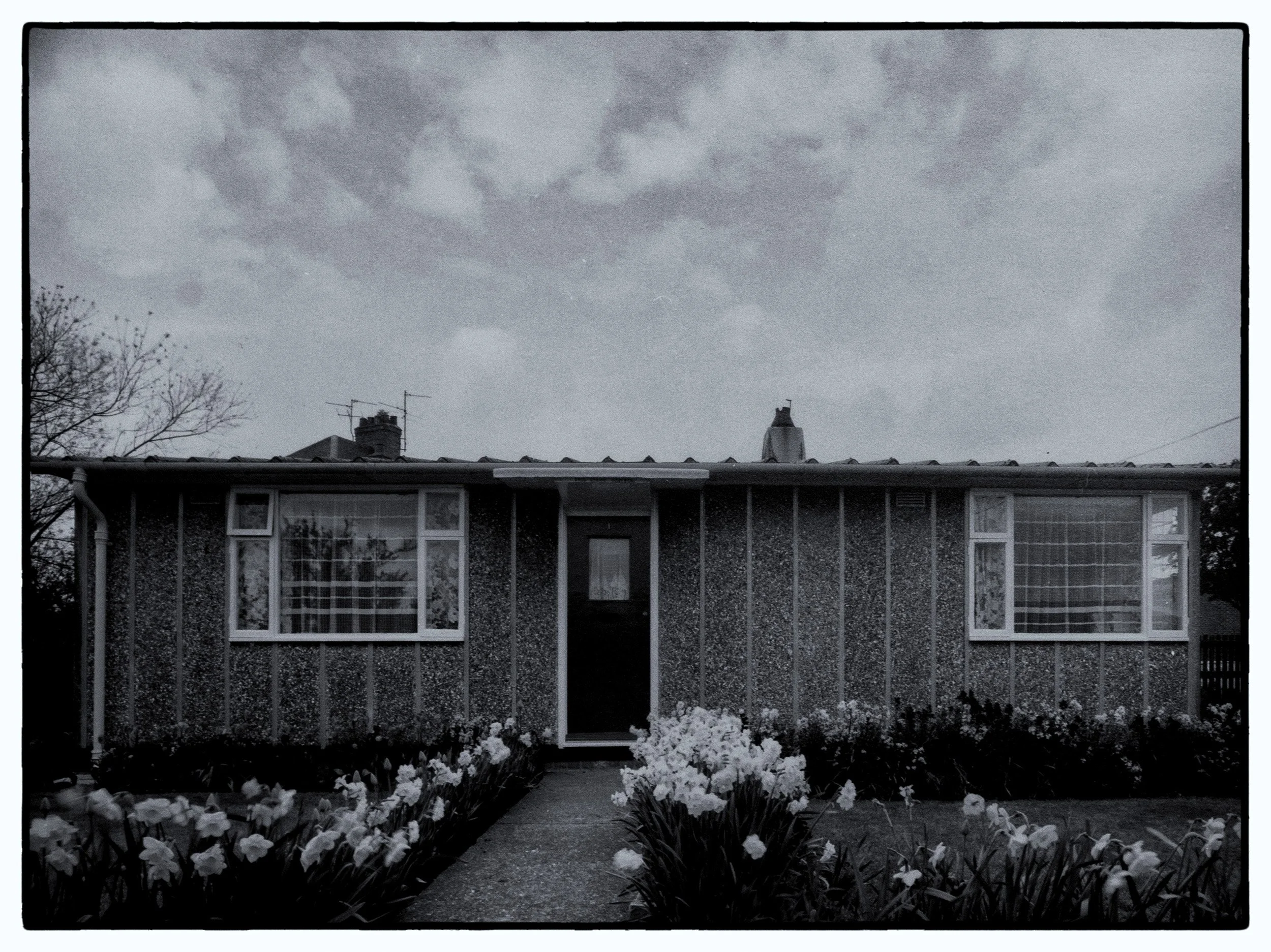 SJC_6752-Edit - Copy.jpg