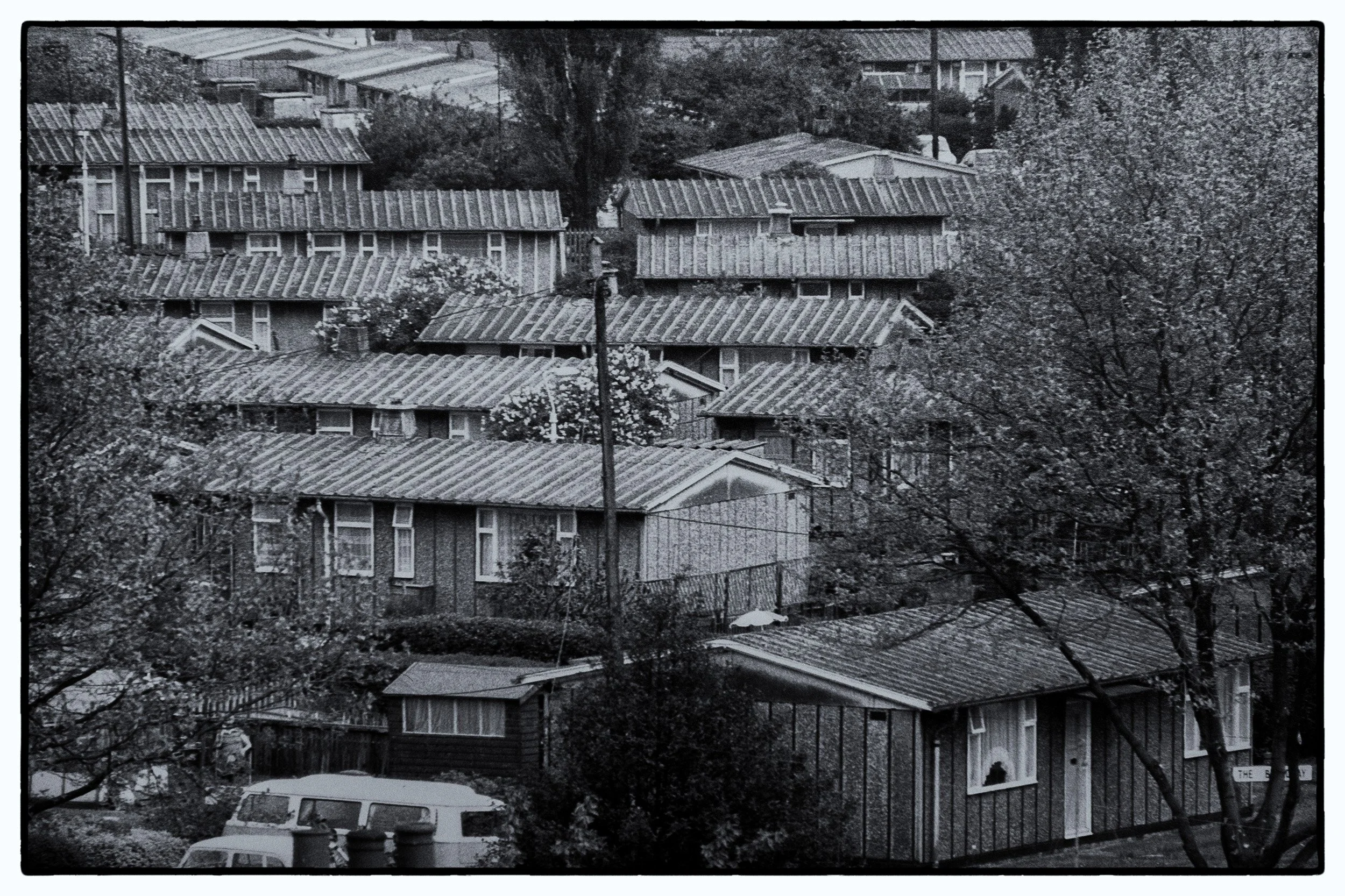 SJC_6749-Edit - Copy.jpg