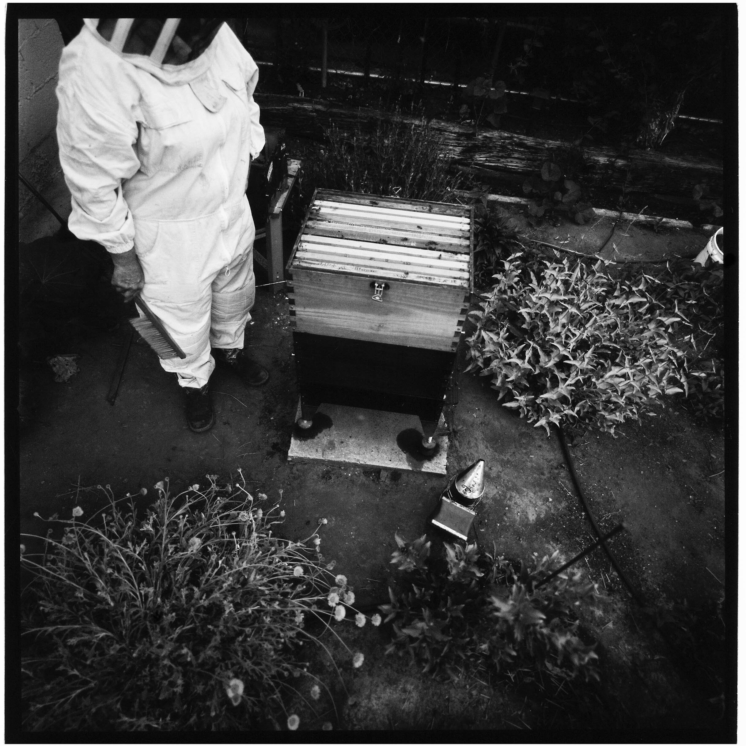 Beekeeper Deja