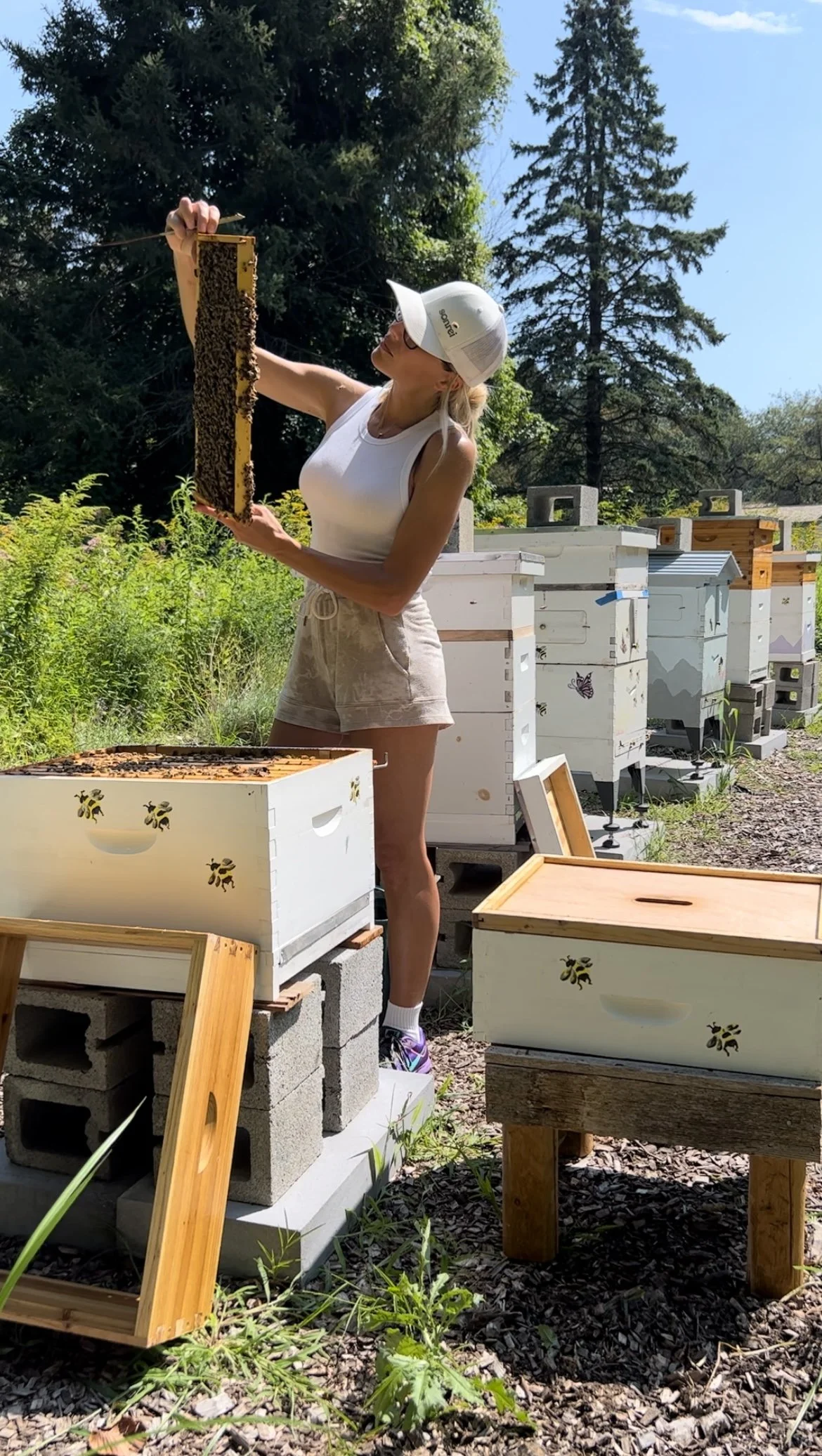 A woman wearing a white cap, tank top, and shorts examining a honeycomb frame outdoors surrounded by beehives and greenery on a sunny day.