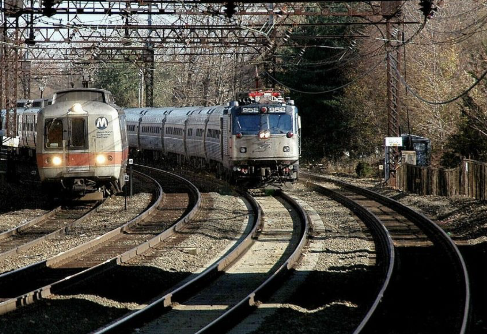 Two trains traveling on parallel tracks surrounded by trees and electrical wires.