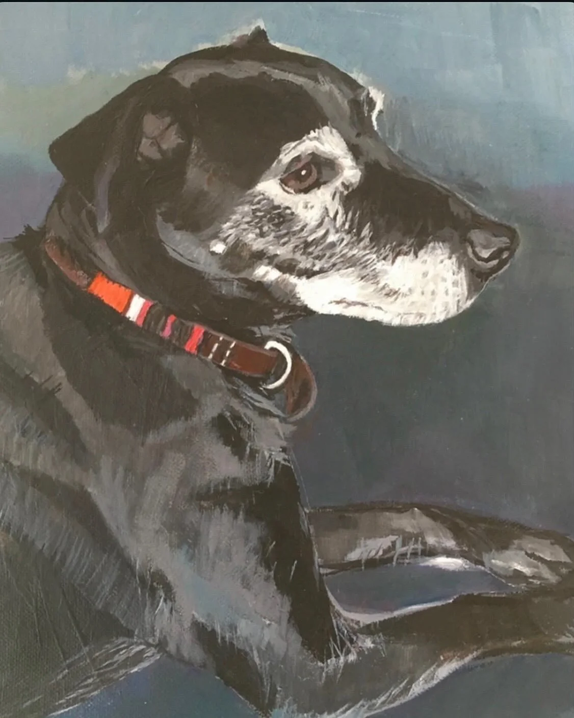 Pet Portrait 4.JPG