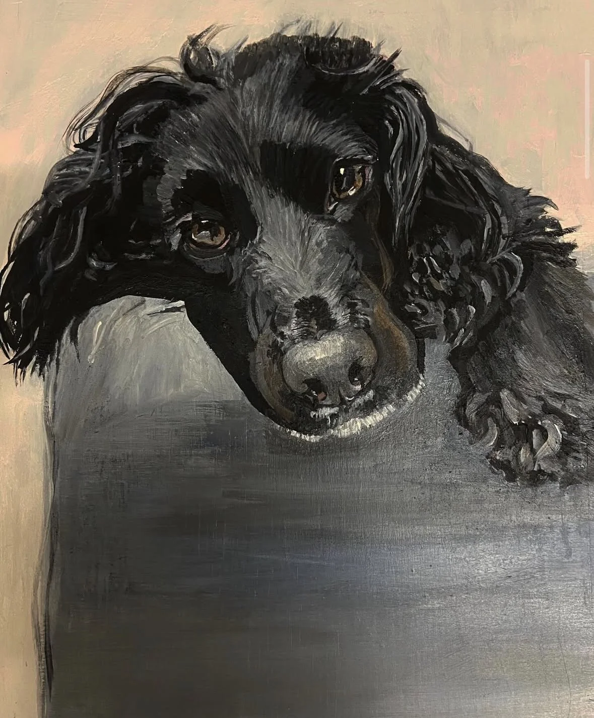 Pet Portrait Spaniel.jpg