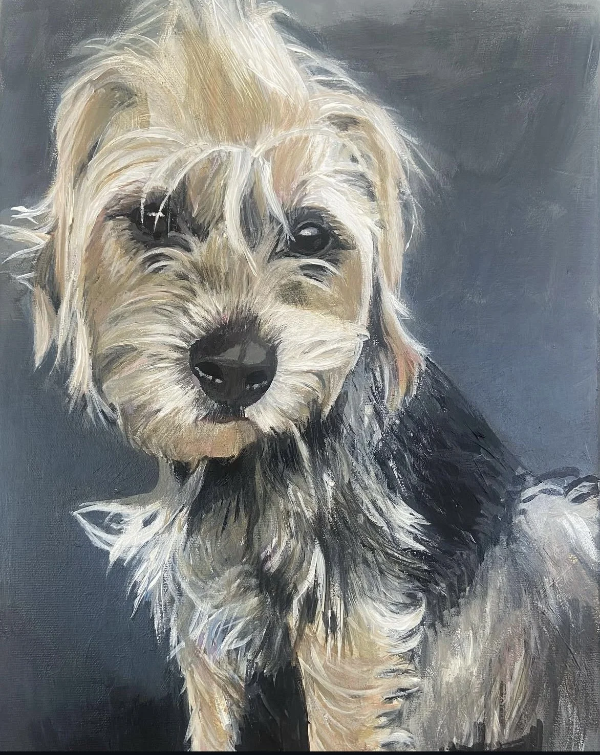 Pet Portrait Jack Russel.jpg