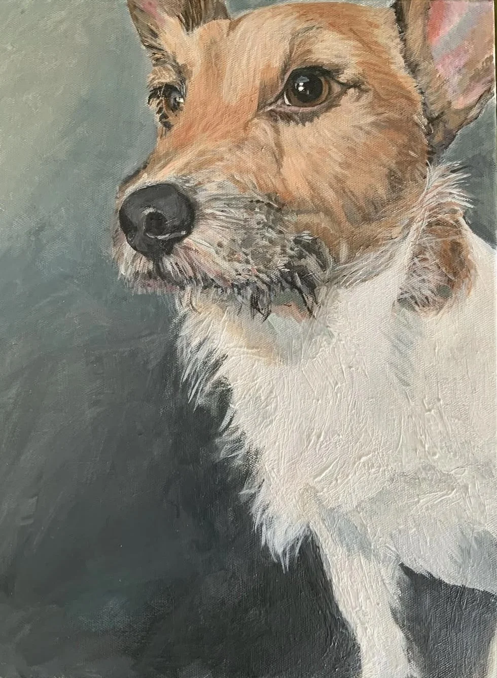 Pet Portrait Jack Russel 2.jpg