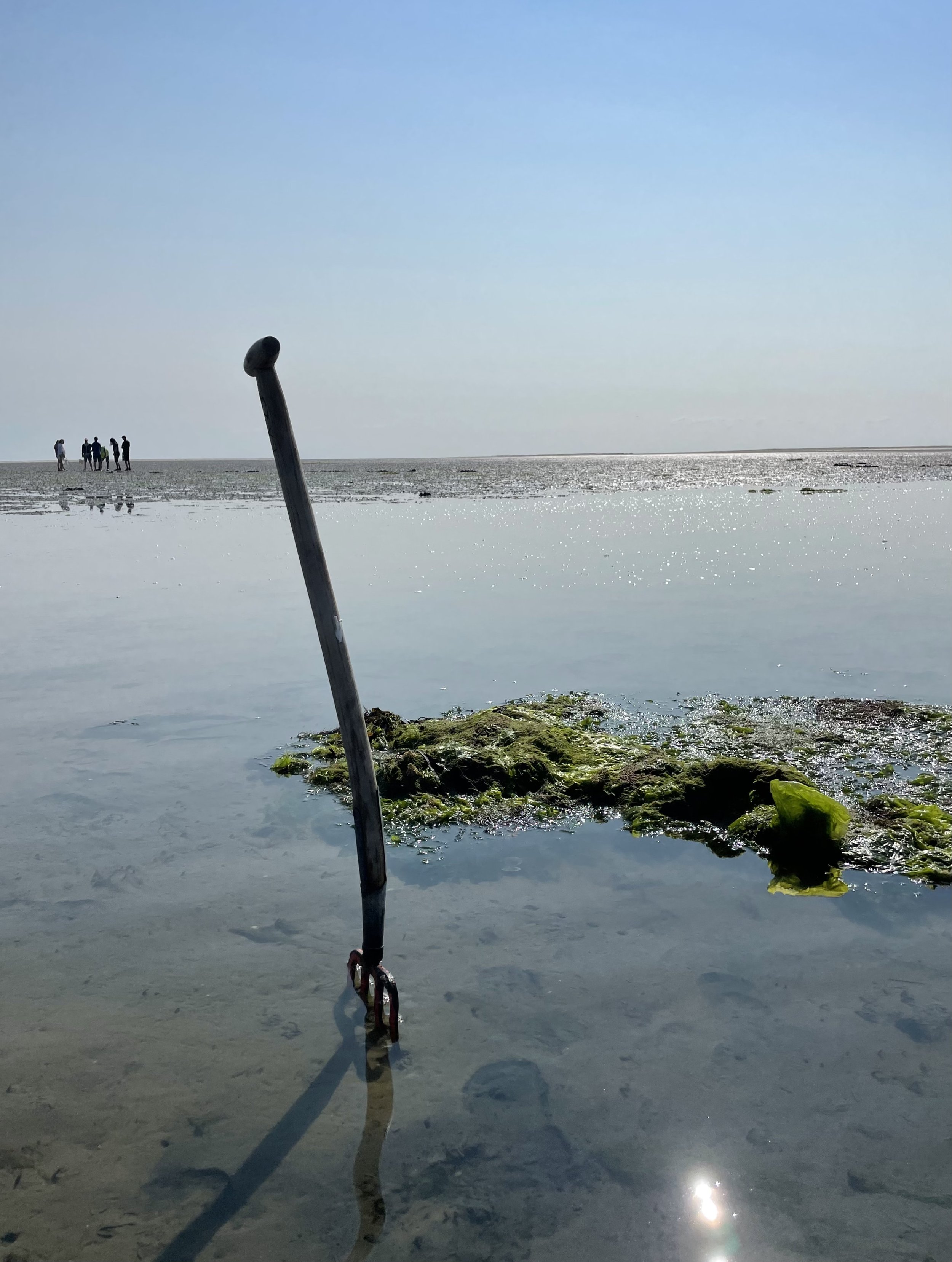 WAD expeditie - Voeten in het slik (incl boottocht)