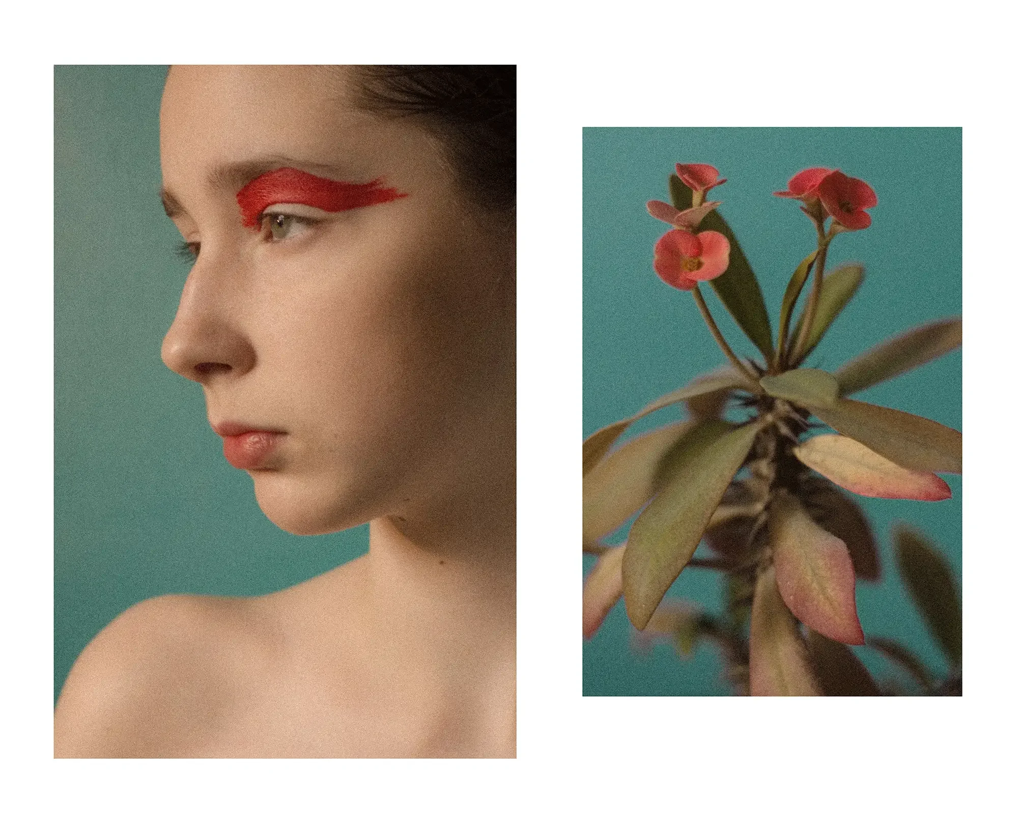 Side profile of a young woman with simple makeup and a bold red eye shadow design, next to a close-up of a plant with pink flowers and green leaves against a teal background.