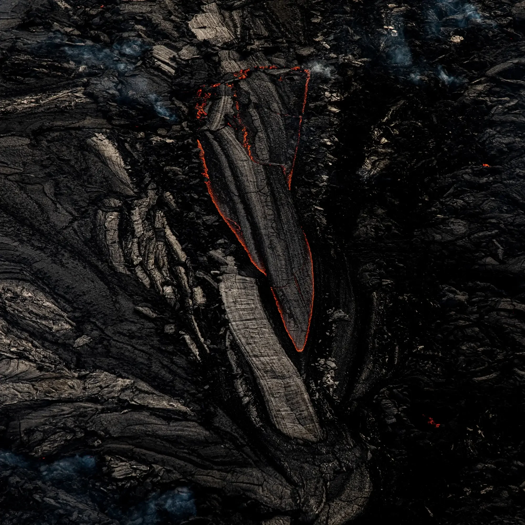 1N5A6587 kopia1.webp