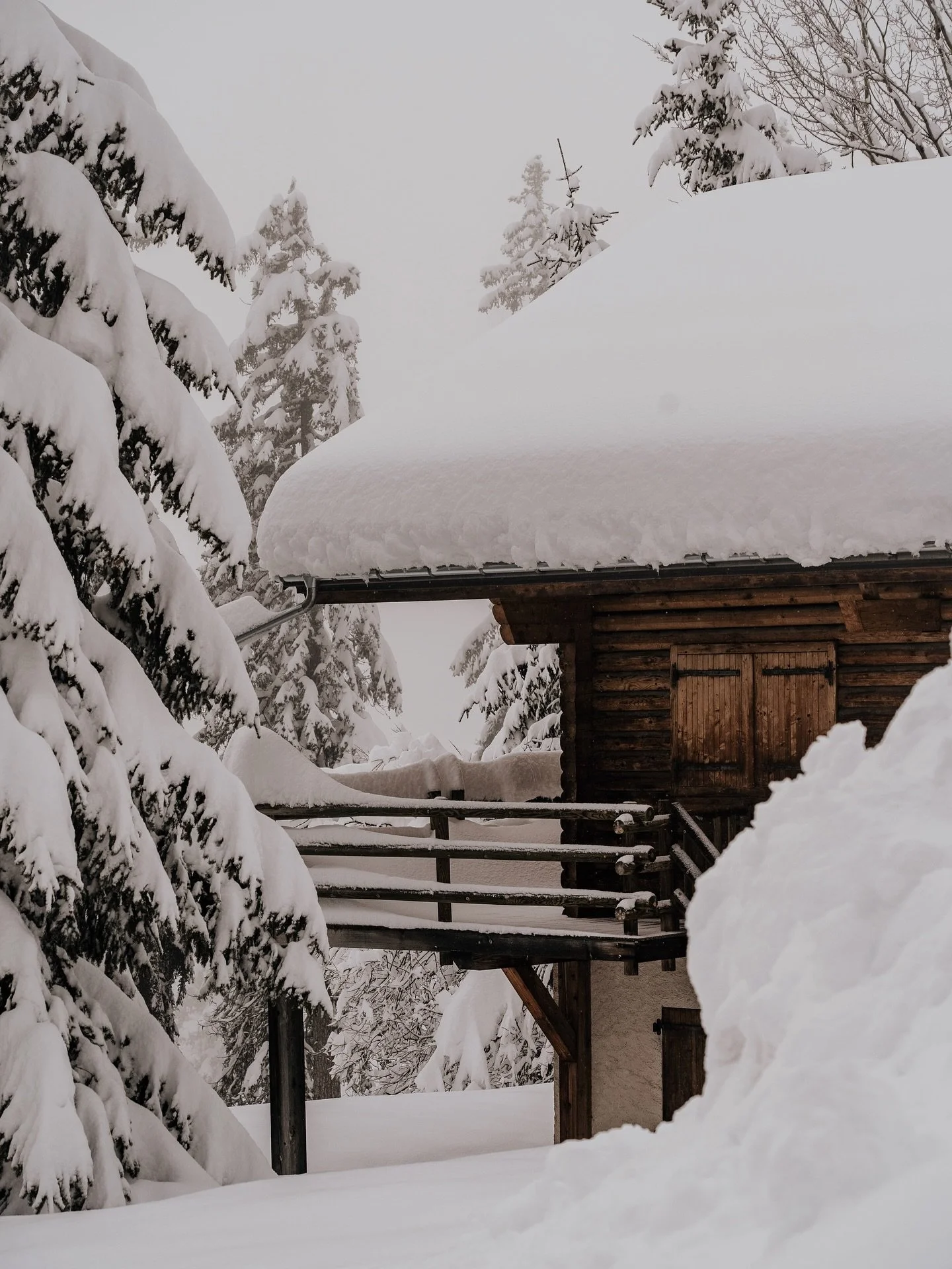 A bit late on my posting calendar 🫣 
Sharing some winter wonderland from a couple weeks ago in the Alps ❄️⛄️🏔️