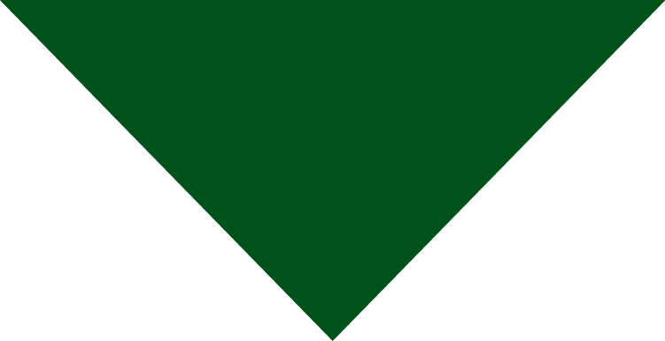 Green downward-pointing triangle on a white background.