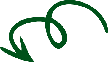 Simple black arrow curling downward and pointing to the left with a green outline.