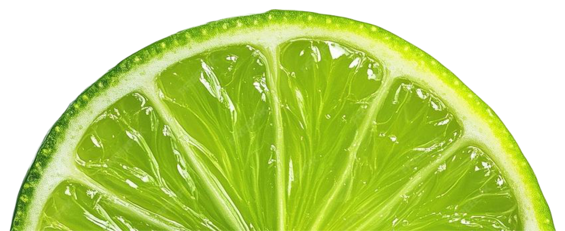 Close-up of a lime slice showing the green interior and pulp.