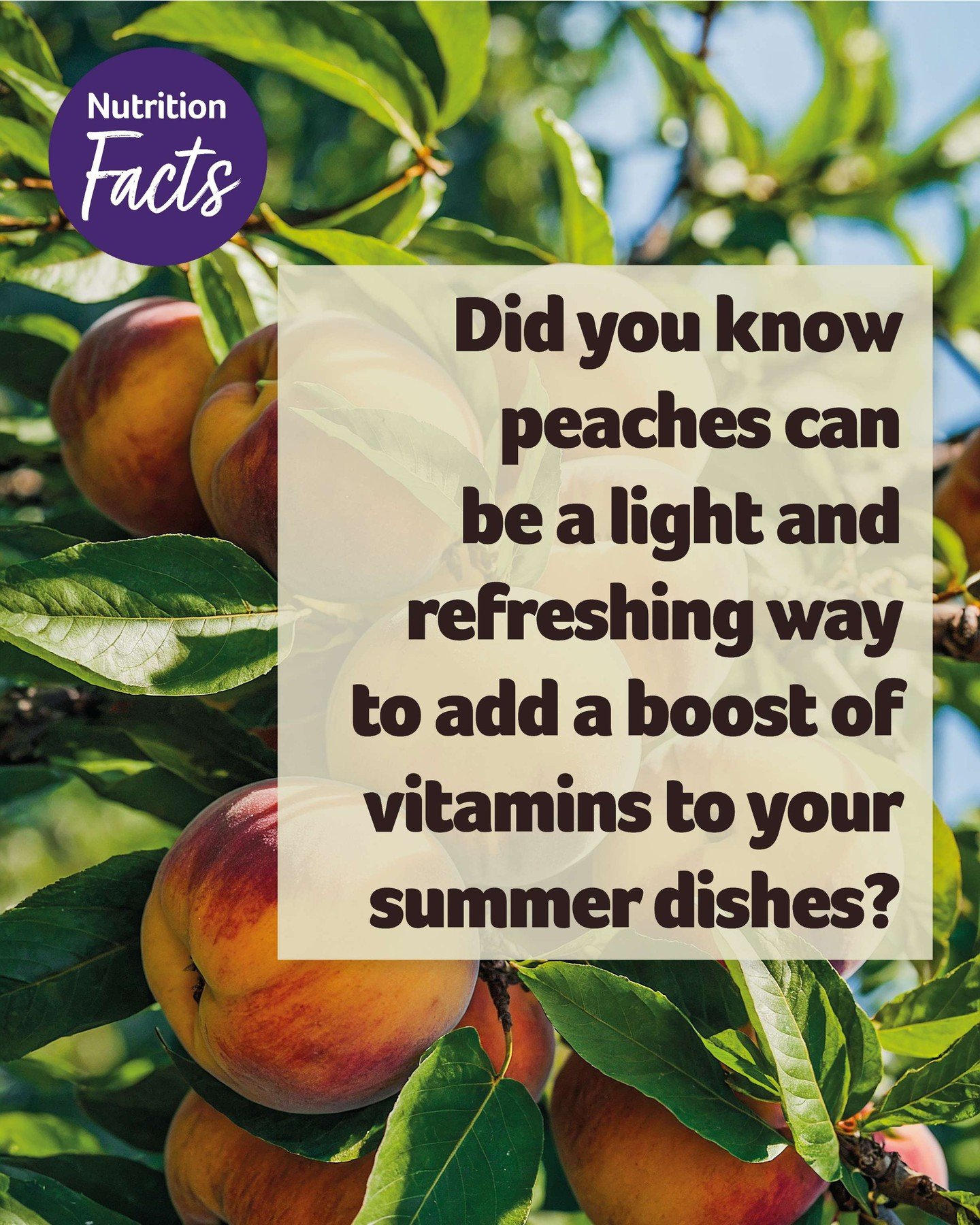 Peaches are more than just a sweet summer fruit 🍑 They can be a light and refreshing way to add flavour and nourishment to your meals. From sweet to savoury dishes, they bring a fresh, seasonal touch that fits easily into a balanced routine.

#Natio