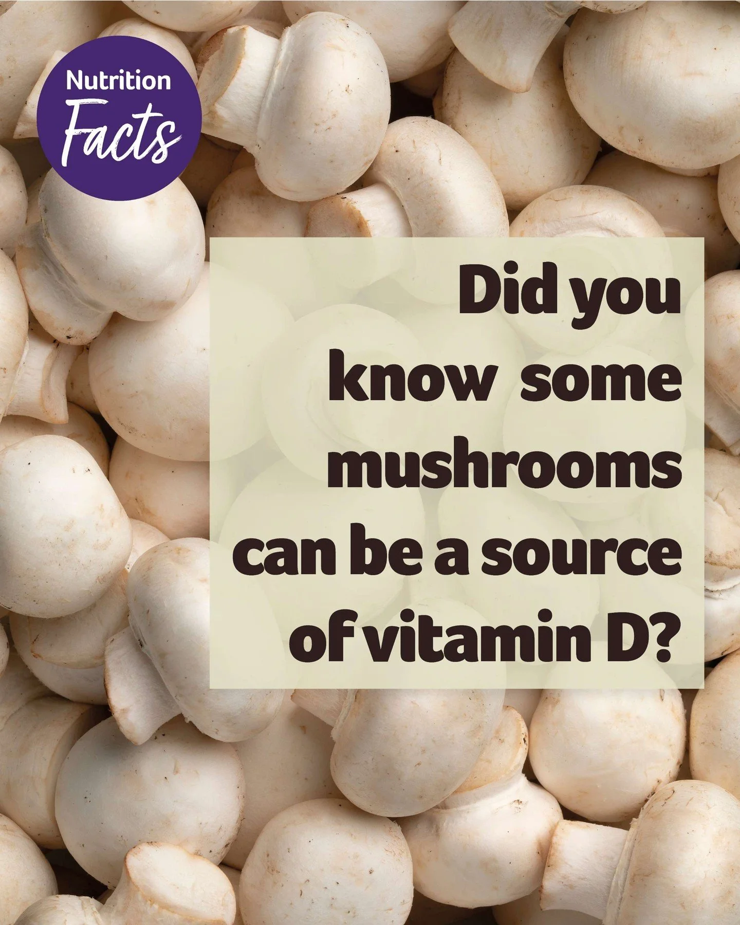 Mushrooms are more than just a tasty addition to your meals 🍄 They can be a simple way to add nourishment to your plate. From breakfasts to pastas or and sides, mushrooms are a versatile ingredient that can bring plenty of flavour to a balanced rout