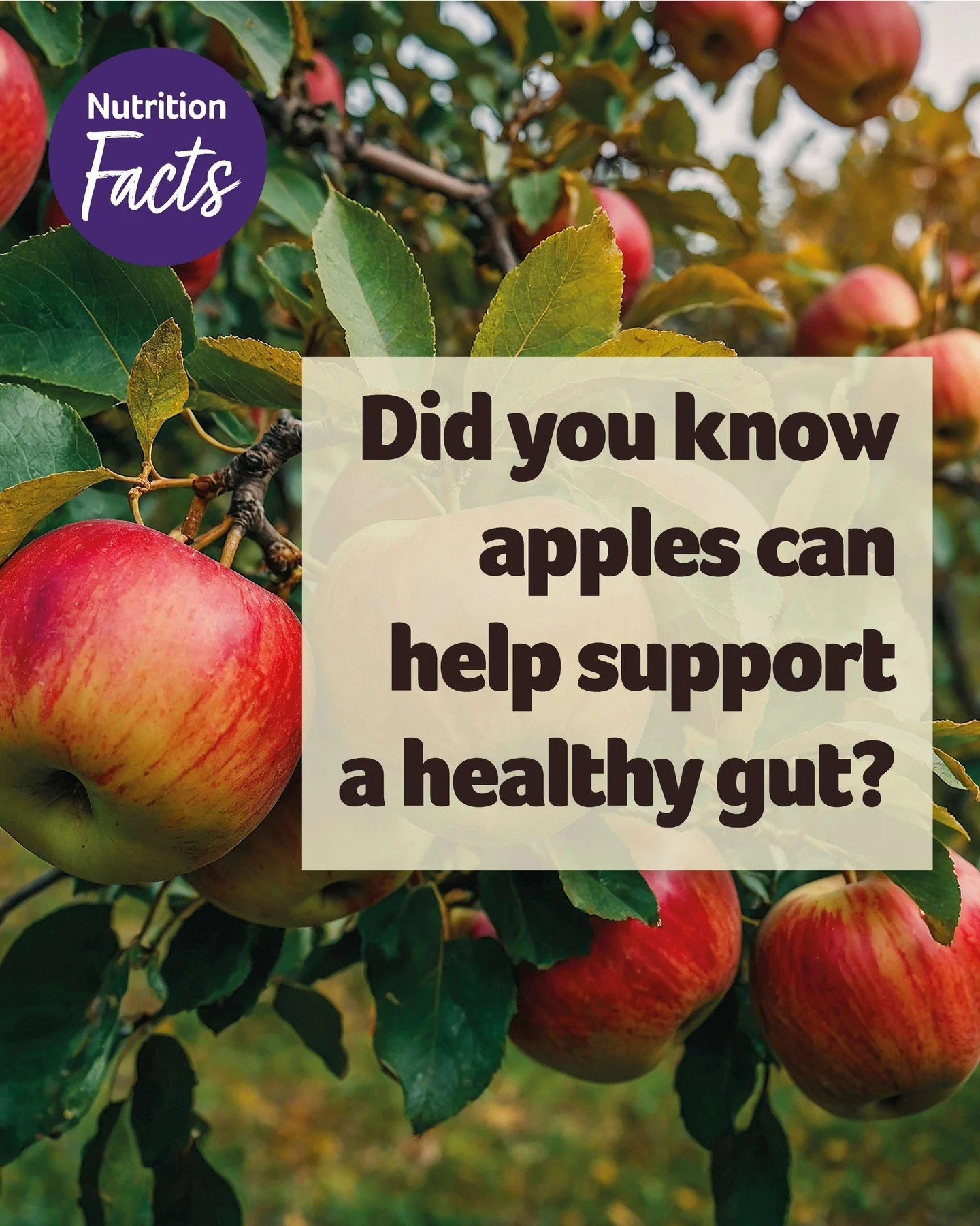 Apples are more than just a naturally sweet snack 🍎 They can be a simple way to add fruit and fibre to your day. From breakfast bowls and overnight oats to salads, apples are a versatile ingredient that can bring natural sweetness and plenty of good