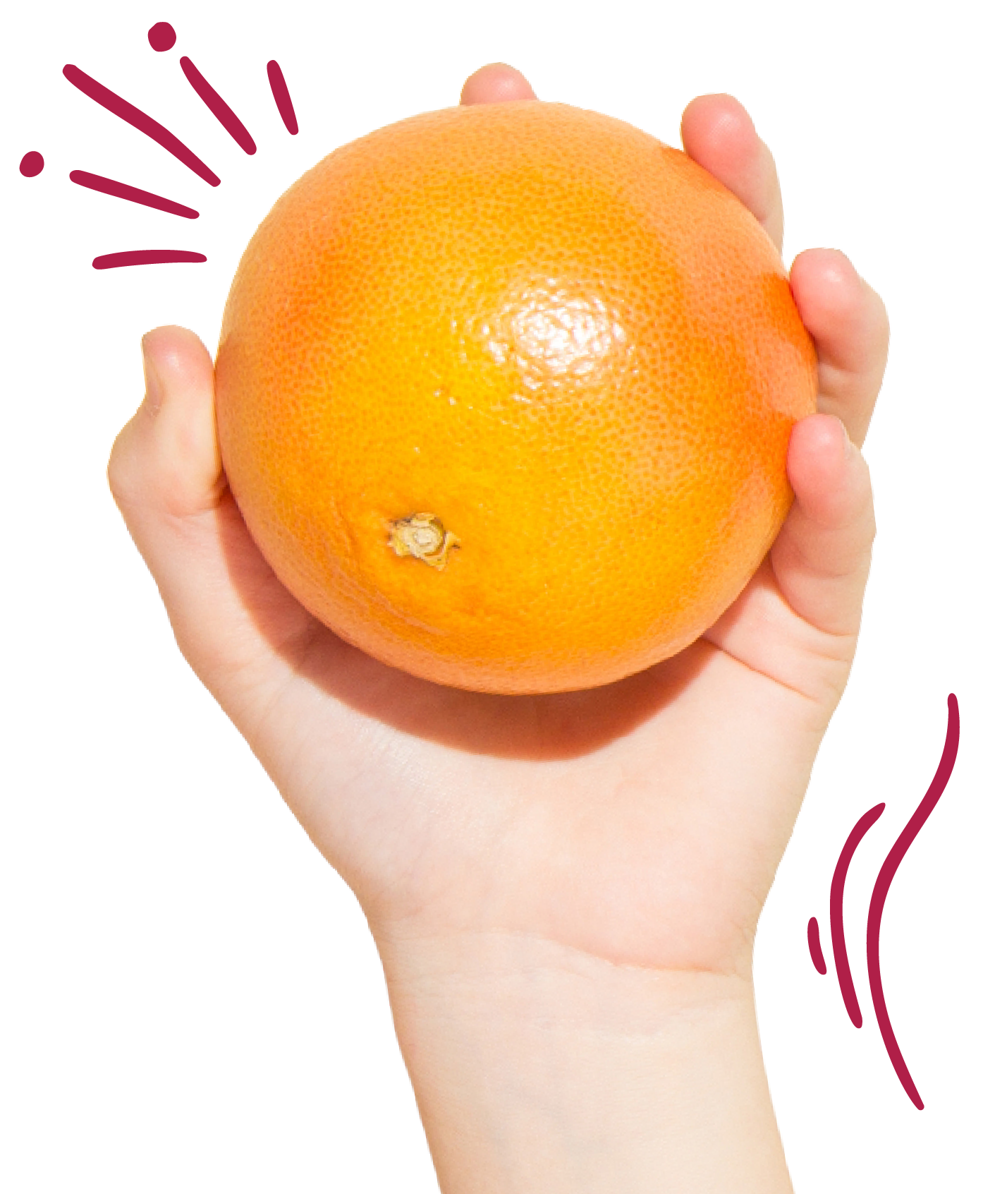 A person's hand holding a large orange grapefruit.