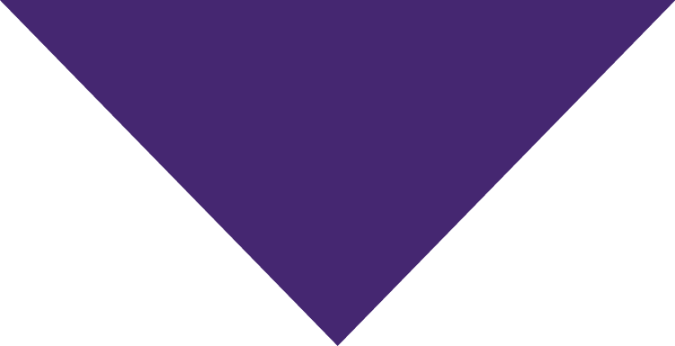 Close-up of a dark purple umbrella with a black border.