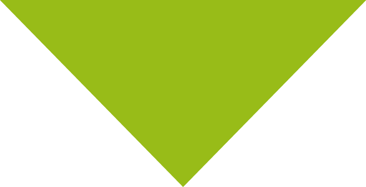 Close-up of a black and green checkered surface, possibly a tile or fabric pattern.