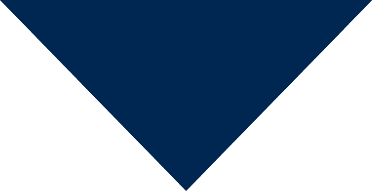 A dark blue V-shaped graphic with a smaller black V beneath it.