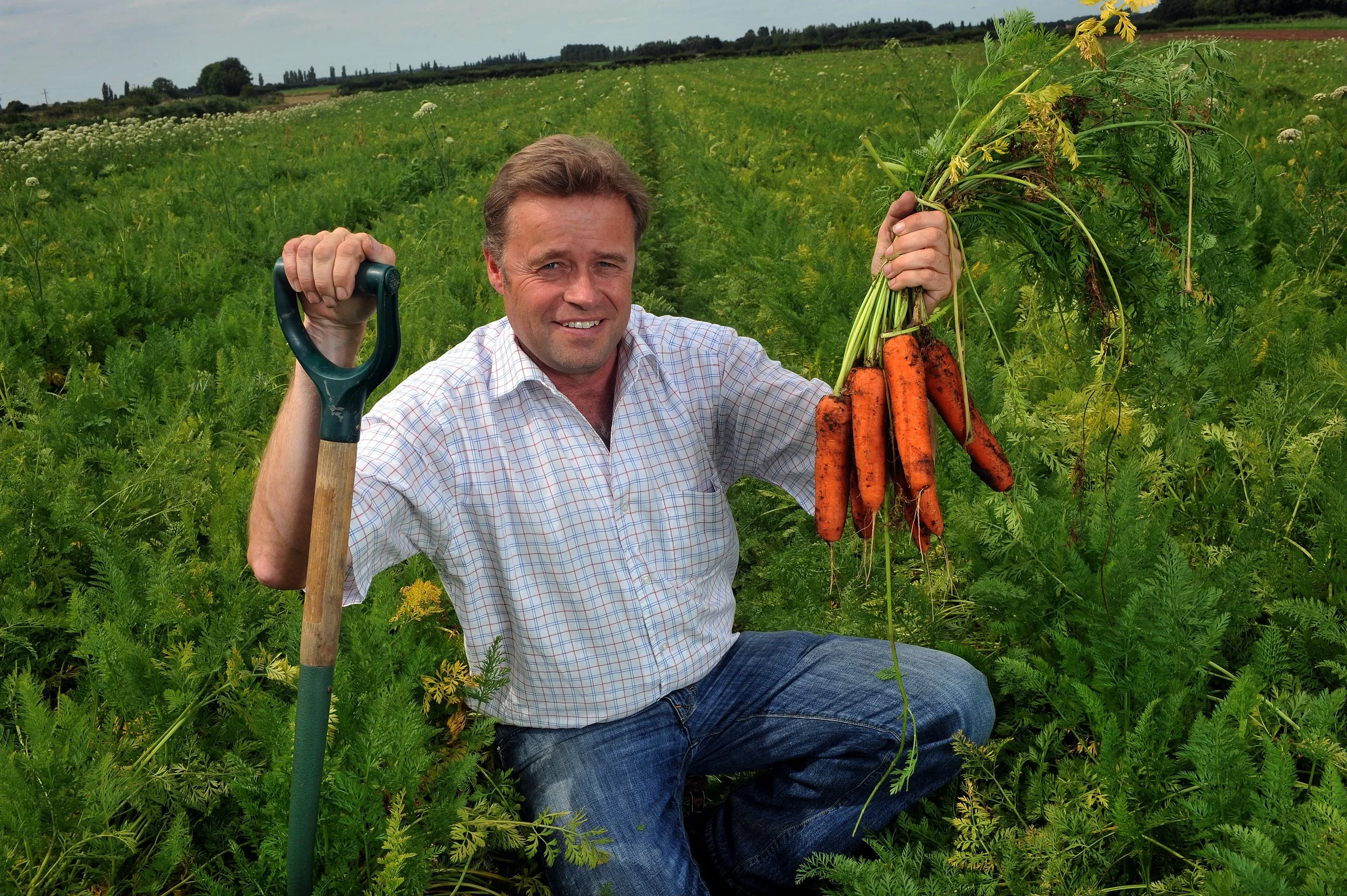 A man kneeling in a carrot field holding a bunch of freshly harvested carrots, with a gardening tool in his other hand and smiles at the camera.
