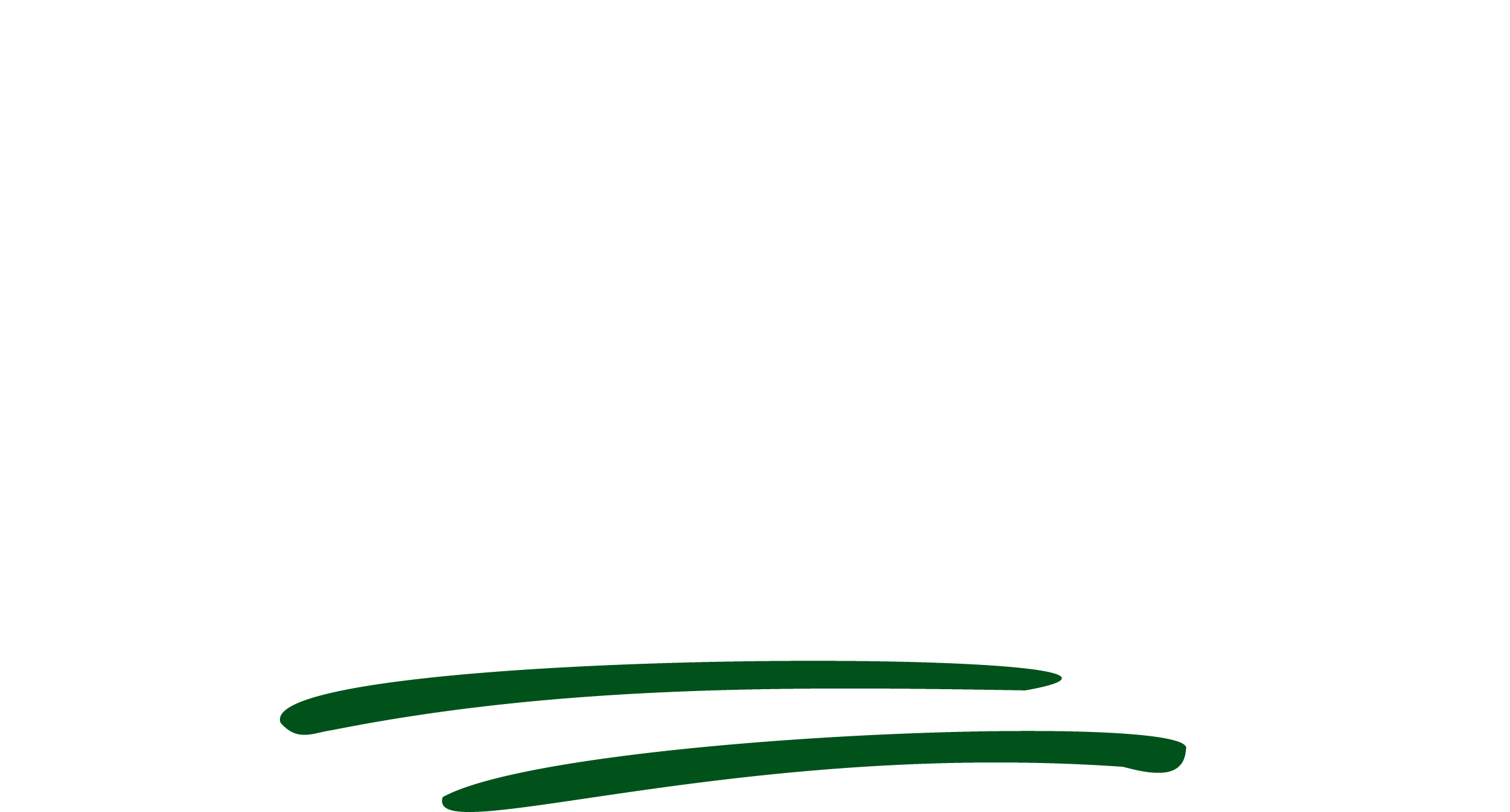 Inspirin' Young Minds logo in white text on a black background with green underline