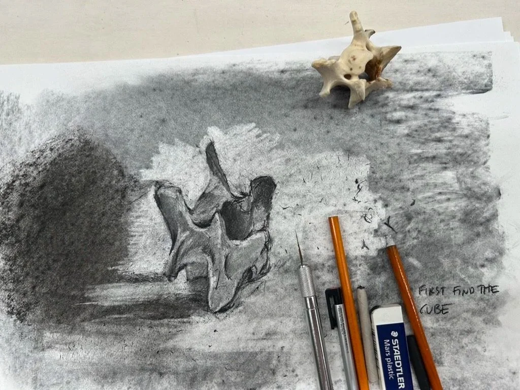 Drawing Class at Sterling City Studio