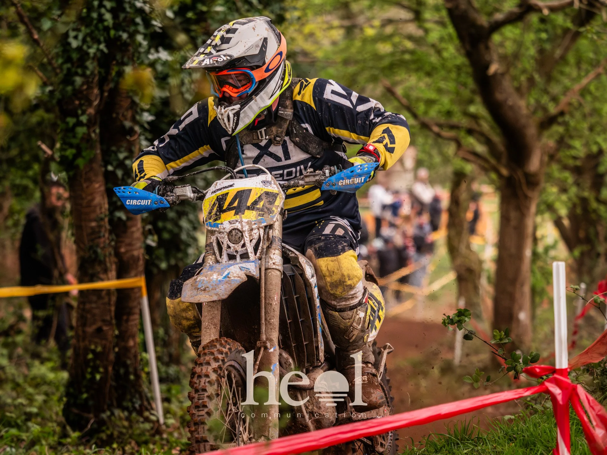 P1233742.jpg
