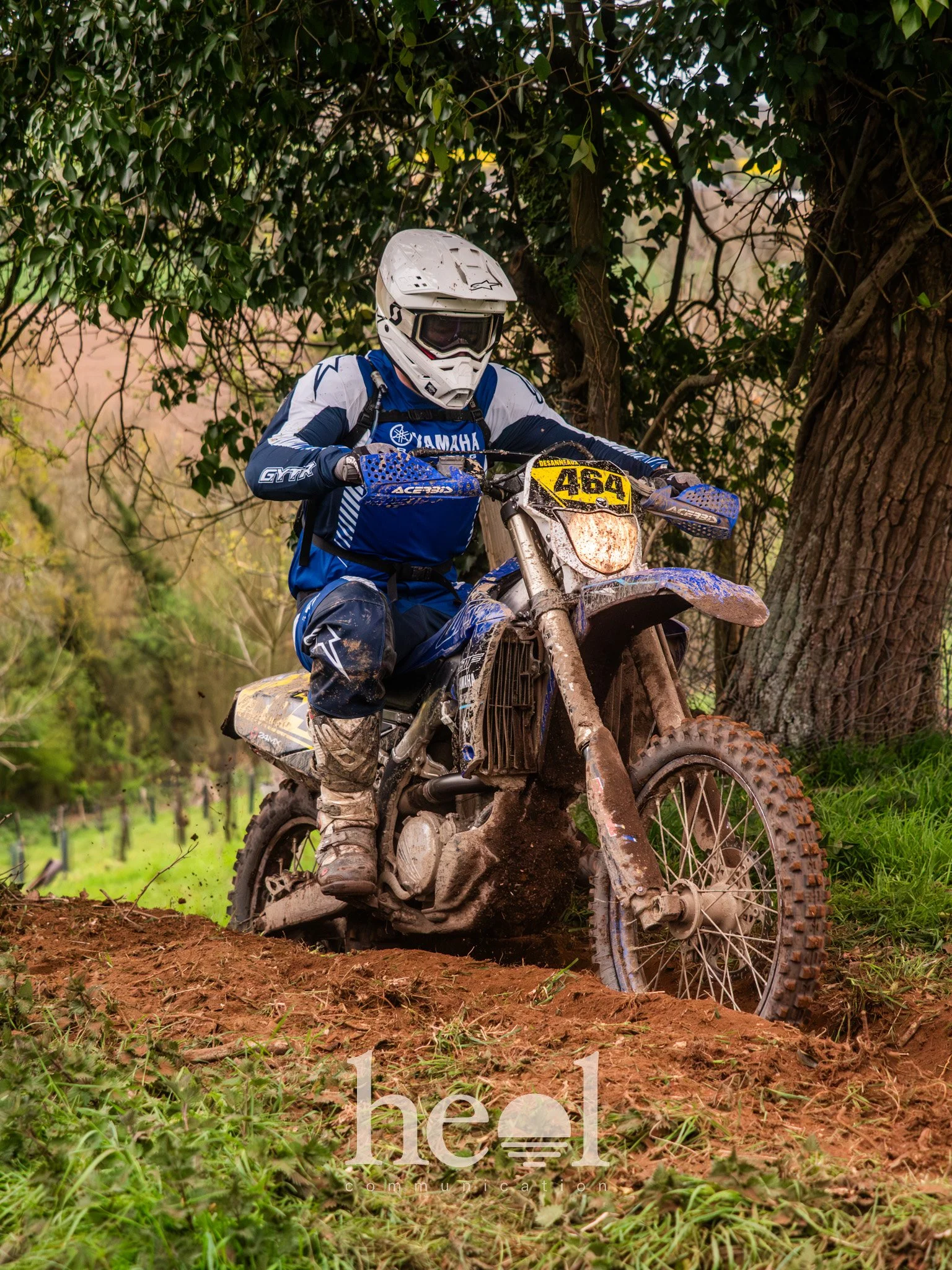 P1233733.jpg