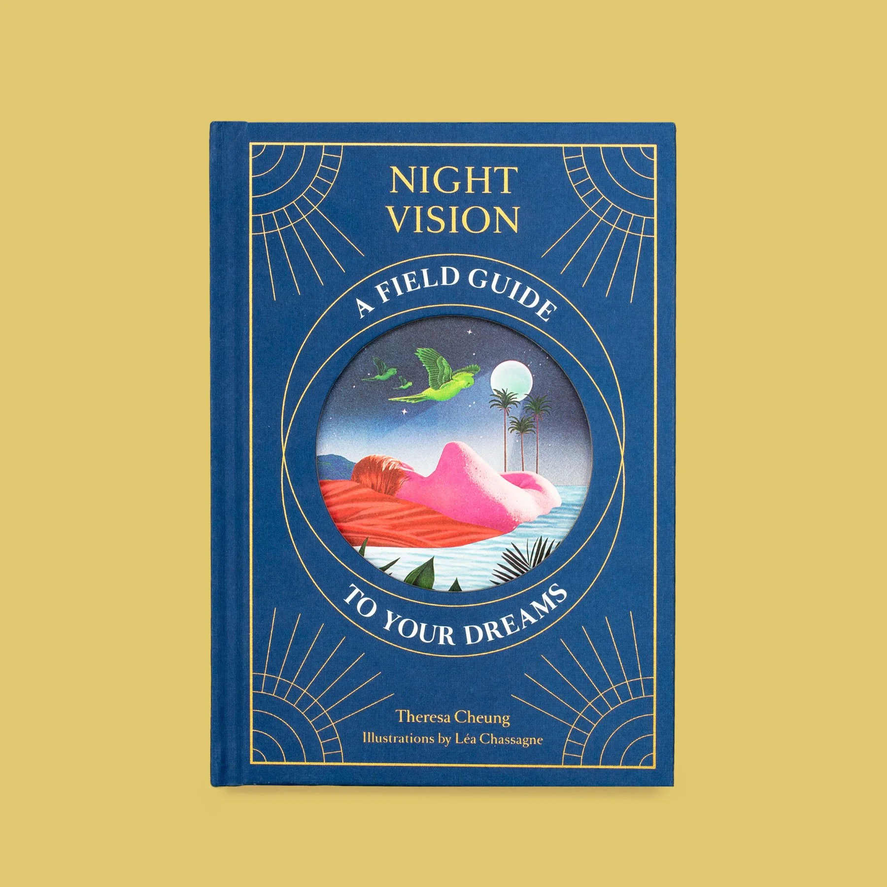 Cover of a book titled "Night Vision: A Field Guide to Your Dreams" by Theresa Cheung with illustrations by Léa Chassagne, showing a surreal landscape with a pink mountain, palm trees, a full moon, a starry sky, and flying green birds.