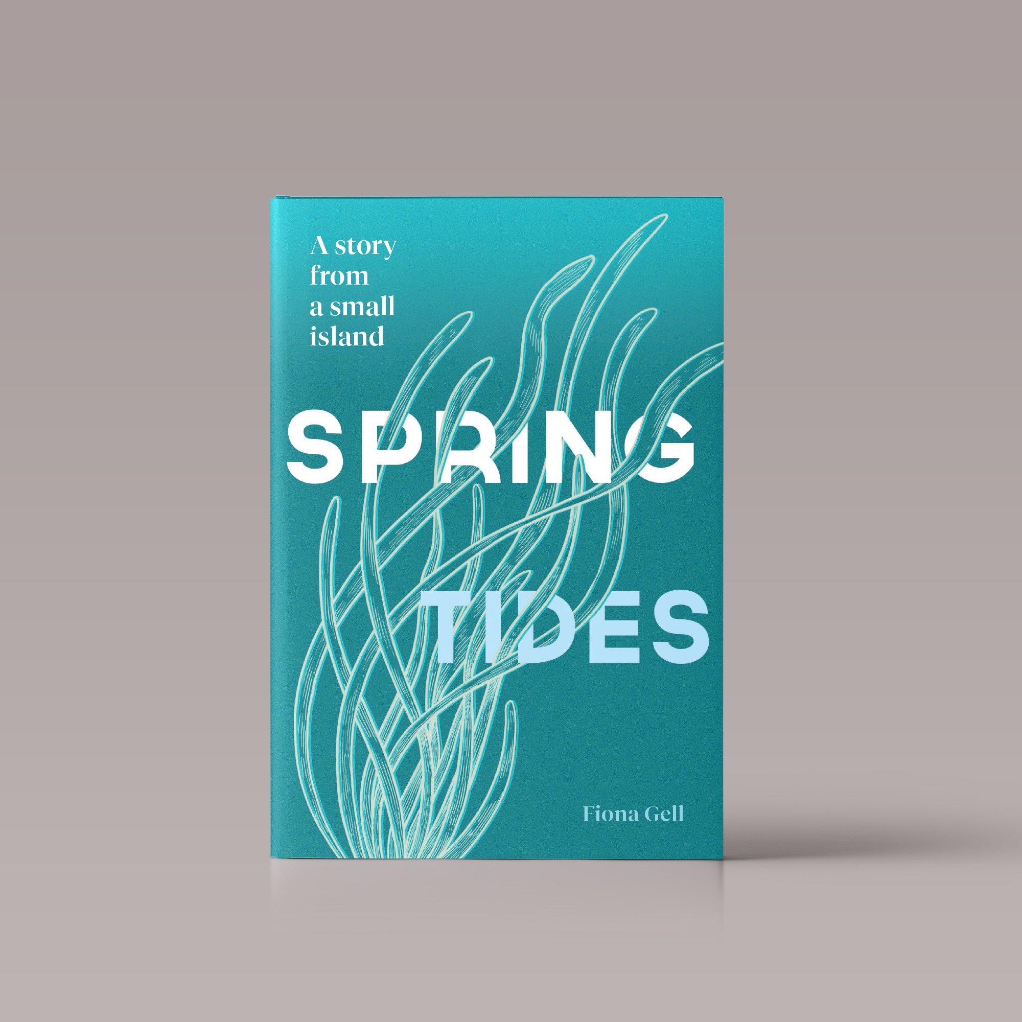 A turquoise book titled 'A story from a small island' by Fiona Gell, featuring white line art of ocean waves on the cover, set against a neutral background.