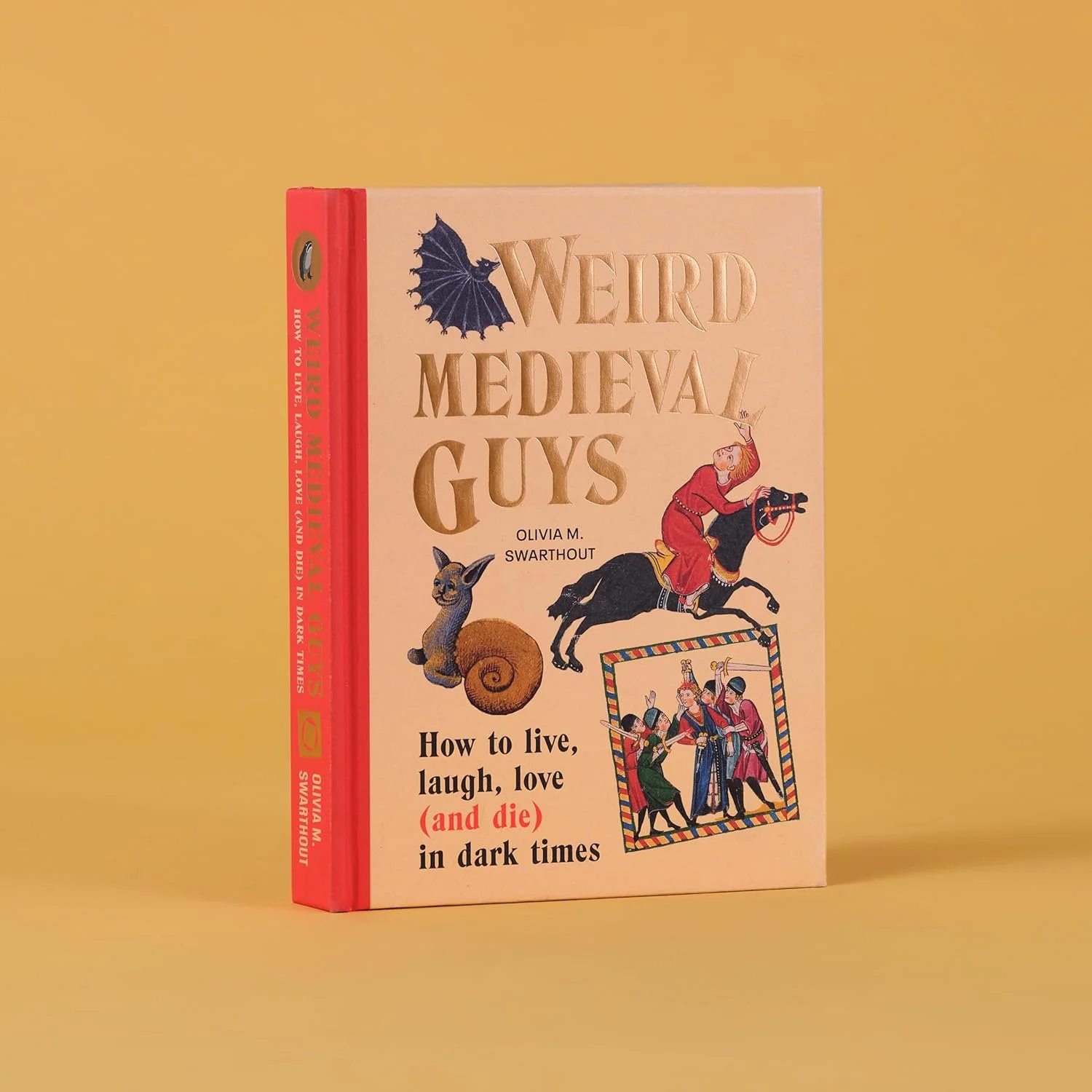 A book titled 'Weird Medieval Guys' with illustrations of a dragon, a cat, a horse, and a medieval scene on a yellow background.