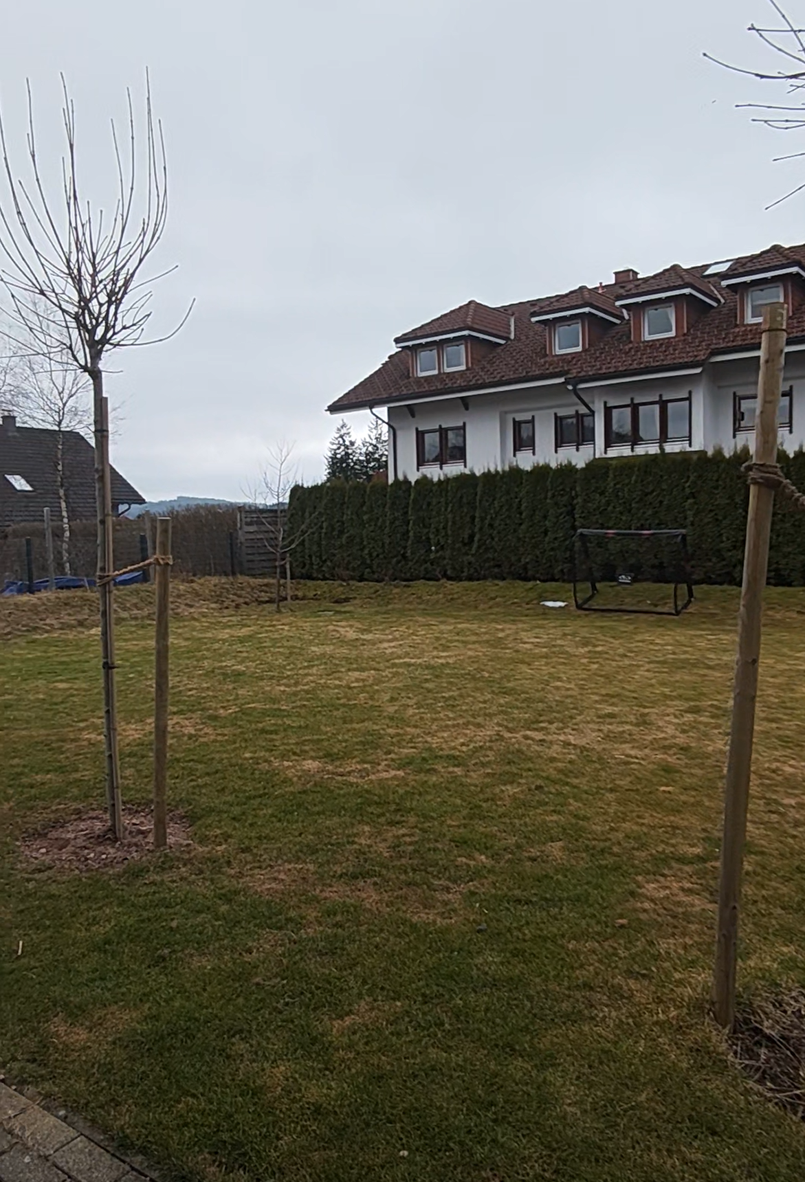 Garten mit neu gepflanzten Bäumen, Rasen, Wachstücher, Hecke und Haus im Hintergrund, bewölkter Himmel.