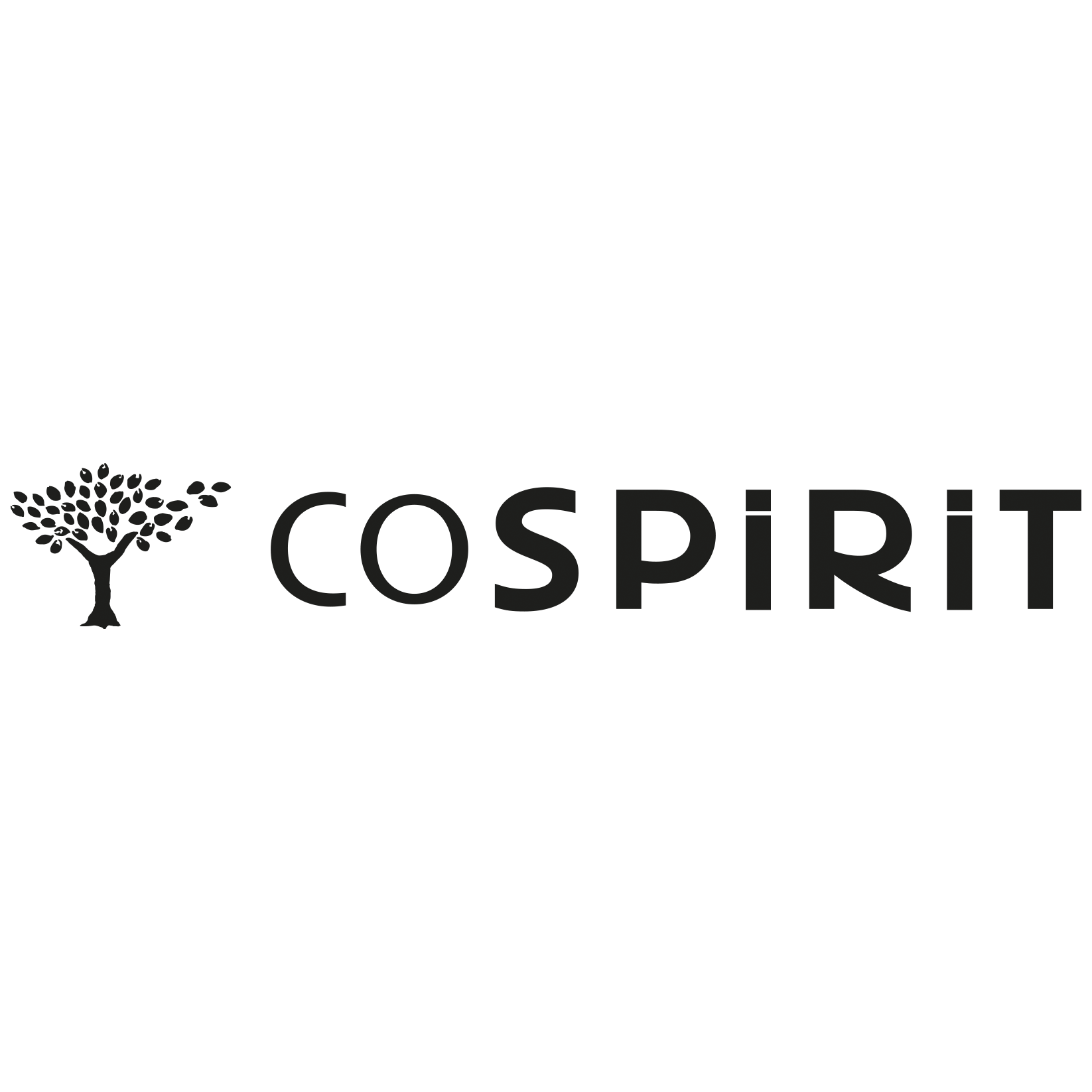 CoSpirit | Local Planet France