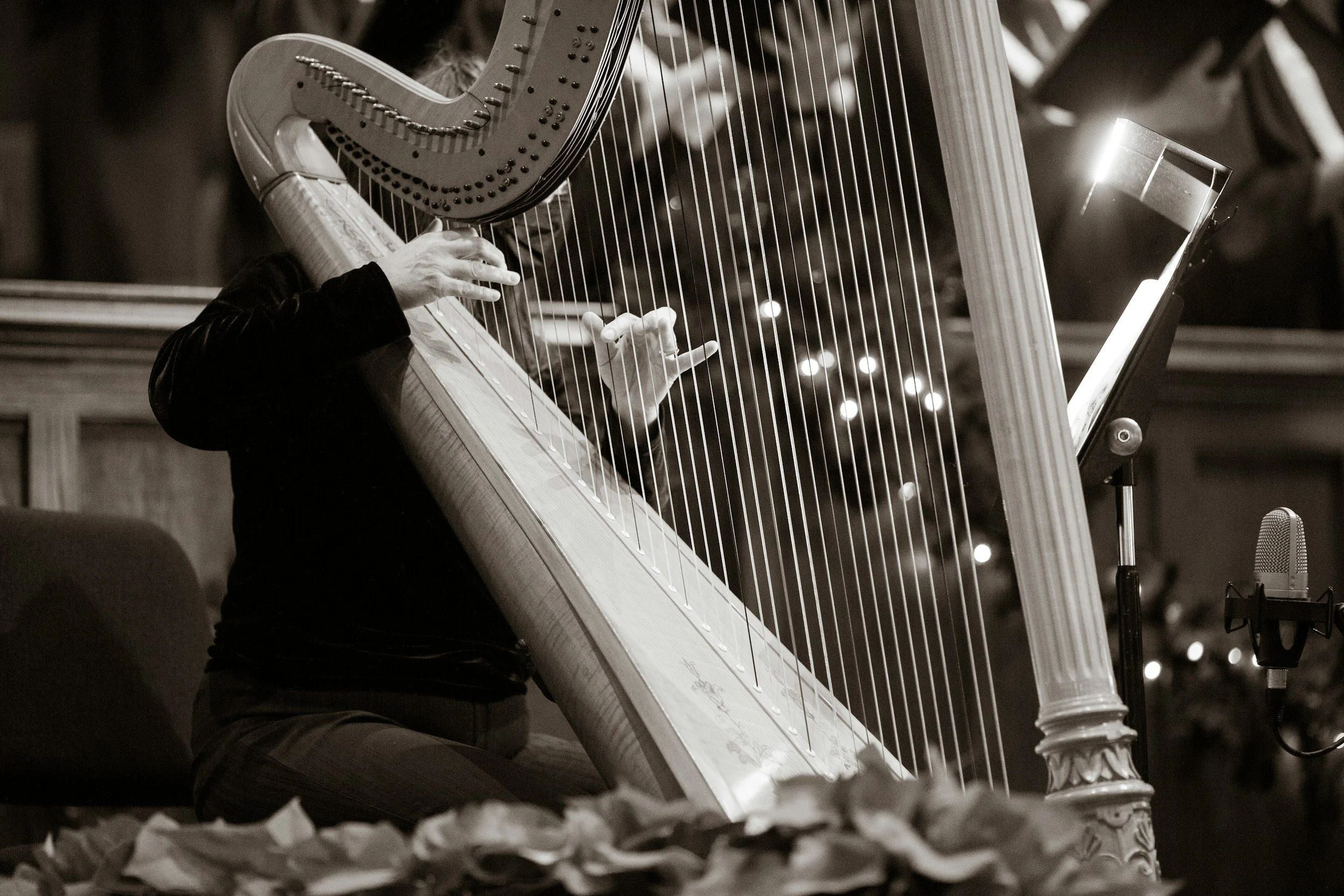 Solo Harpists
