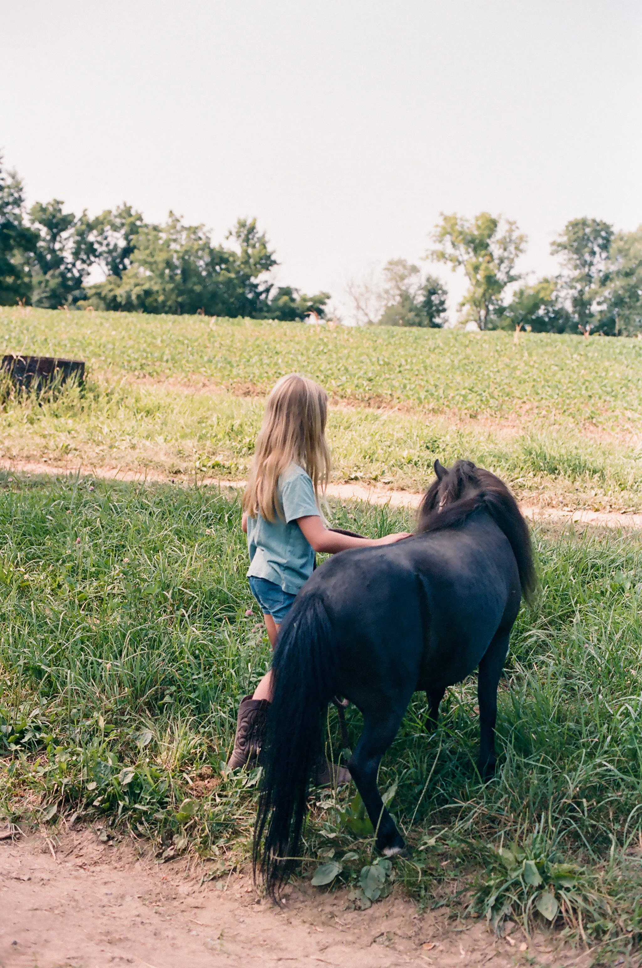 A young girl with long blonde hair wearing a light blue shirt and shorts sitting on the grass, holding the reins of a black horse with a long tail, in a rural outdoor setting with green fields and trees in the background.