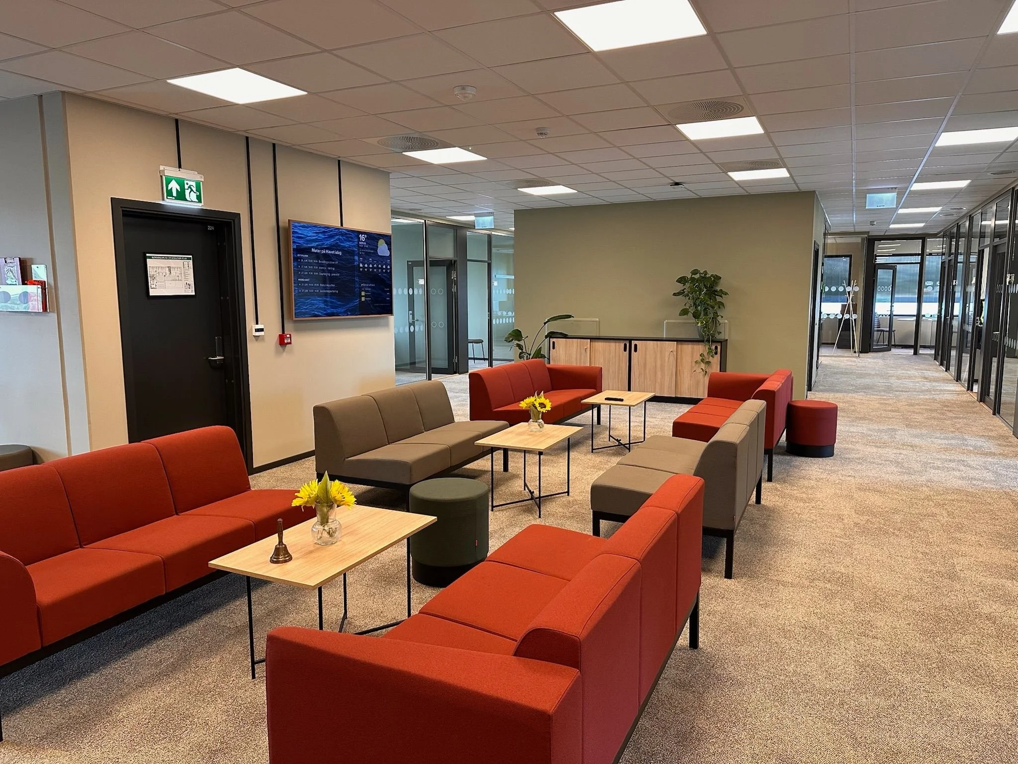 HAVET Fellesområde Havet.jpeg