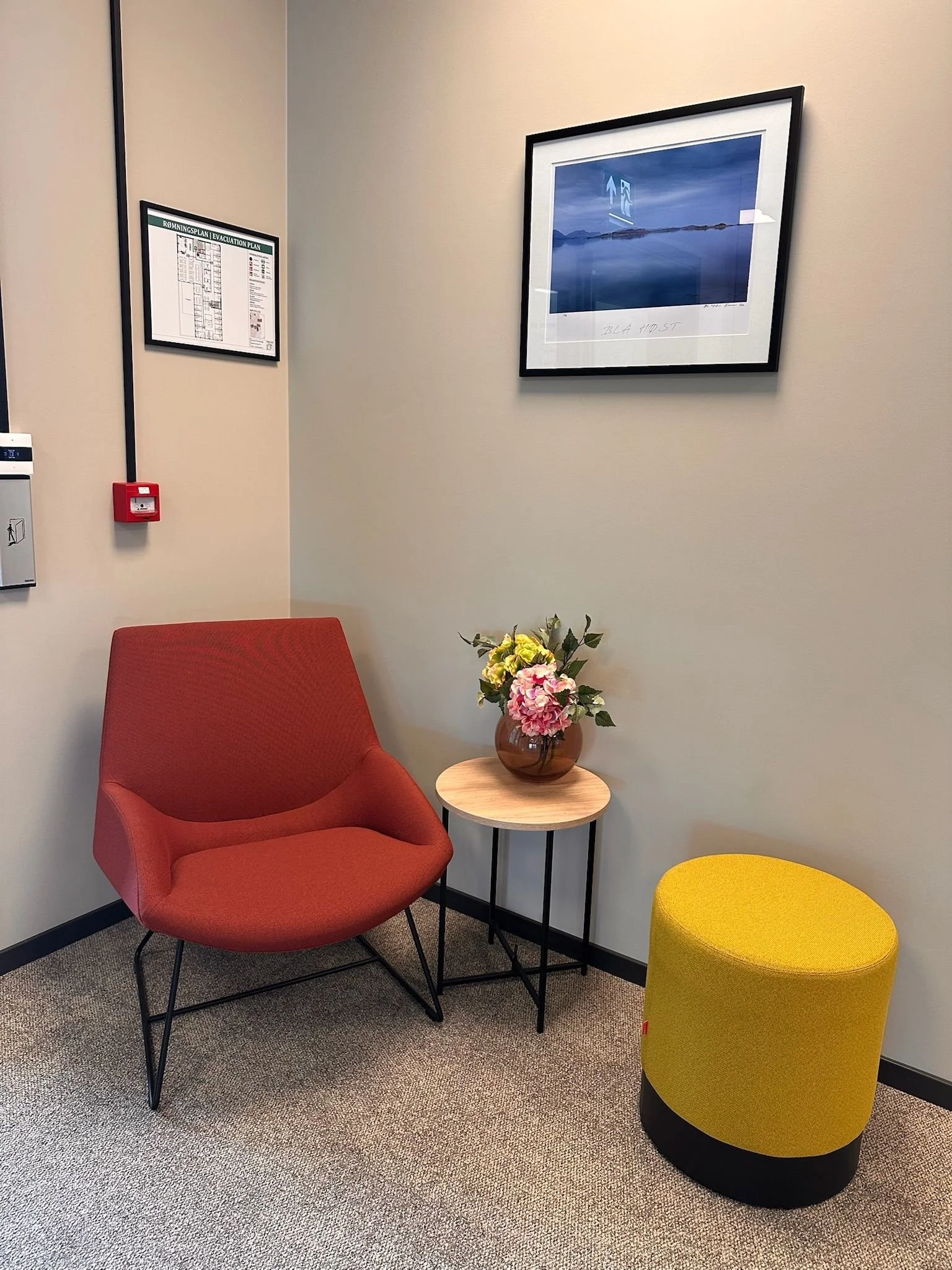 HAVET Inngang 2025.jpeg