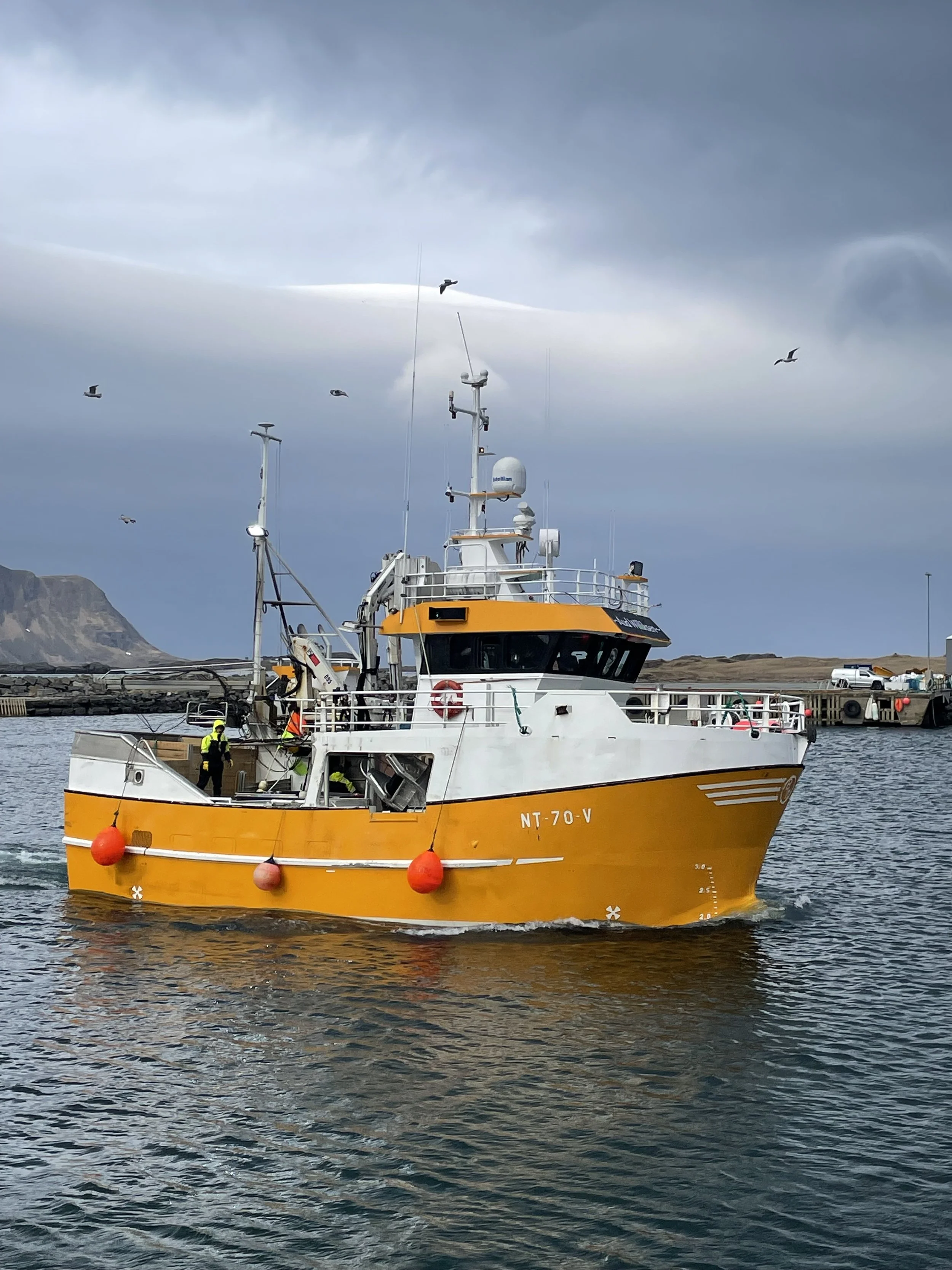 MS Aud Williksen_9.jpg