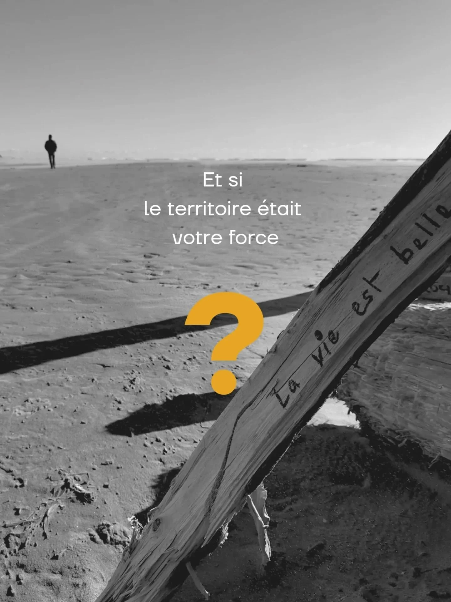 🖤 Relier. Clarifier. Structurer.

Pour que l&rsquo;engagement devienne coh&eacute;rent.

#architecturedesign
#architecturelife
#architectureengagee
#ancrageterritorial