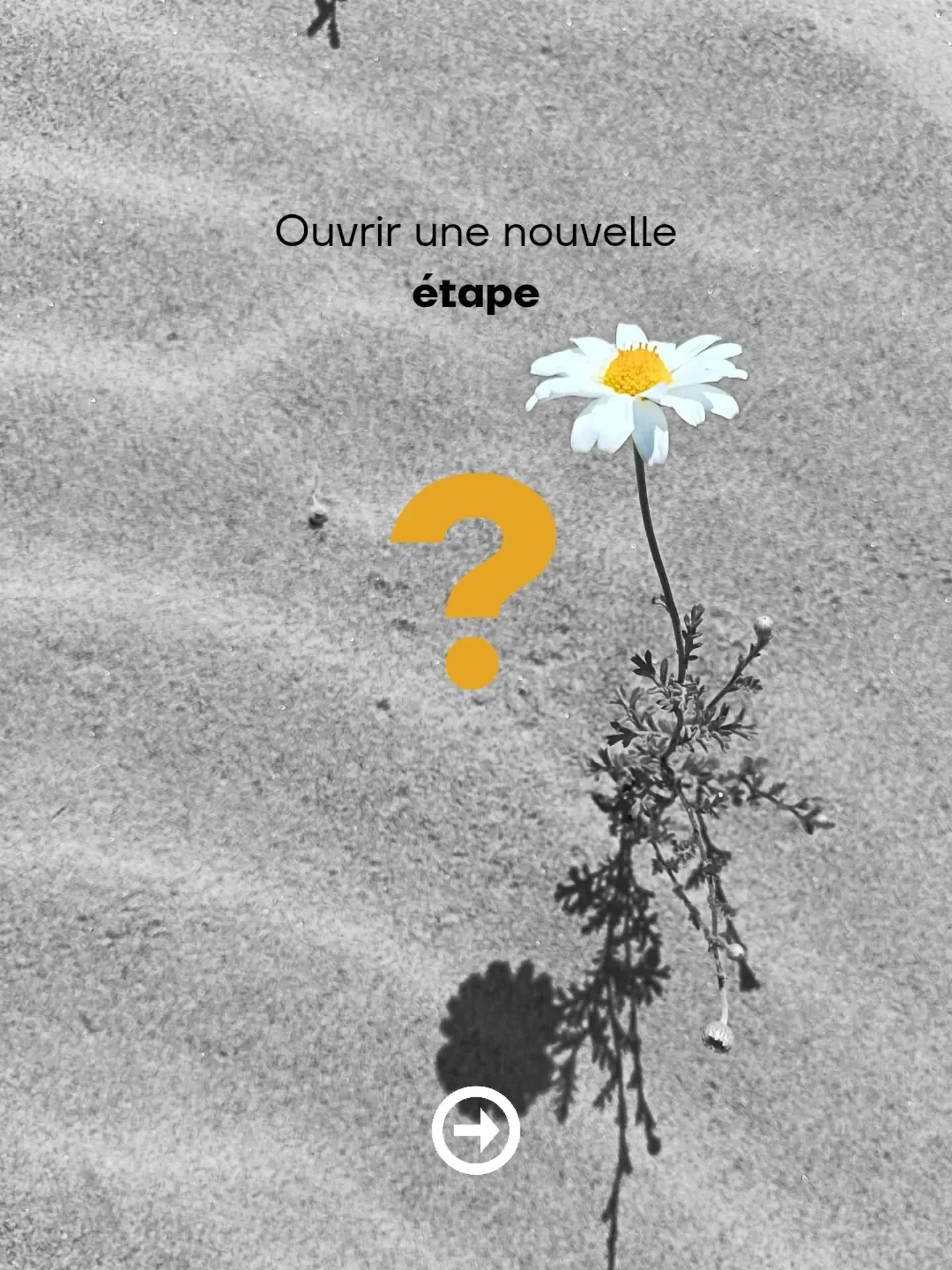 Les pratiques les plus inspirantes que je rencontre ont un point commun.

Elles recherche un regard ext&eacute;rieur au bon moment.
Pas parce qu'elles doutent de leur m&eacute;tier.
Parce qu'elles savent que certaines &eacute;tapes gagnent &agrav