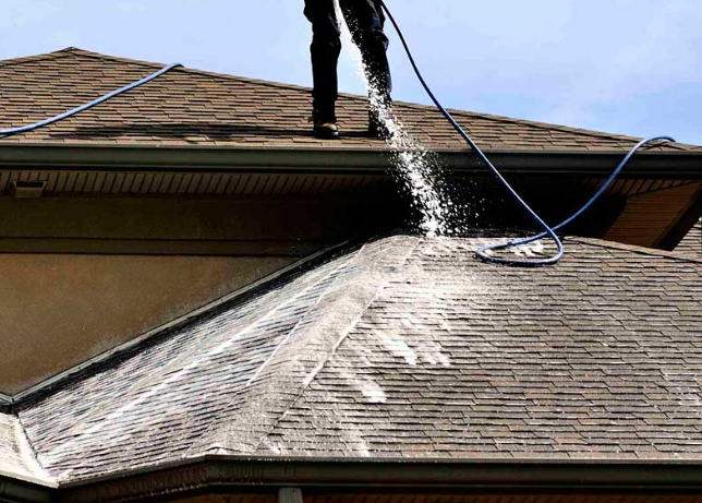 Roof Cleaning