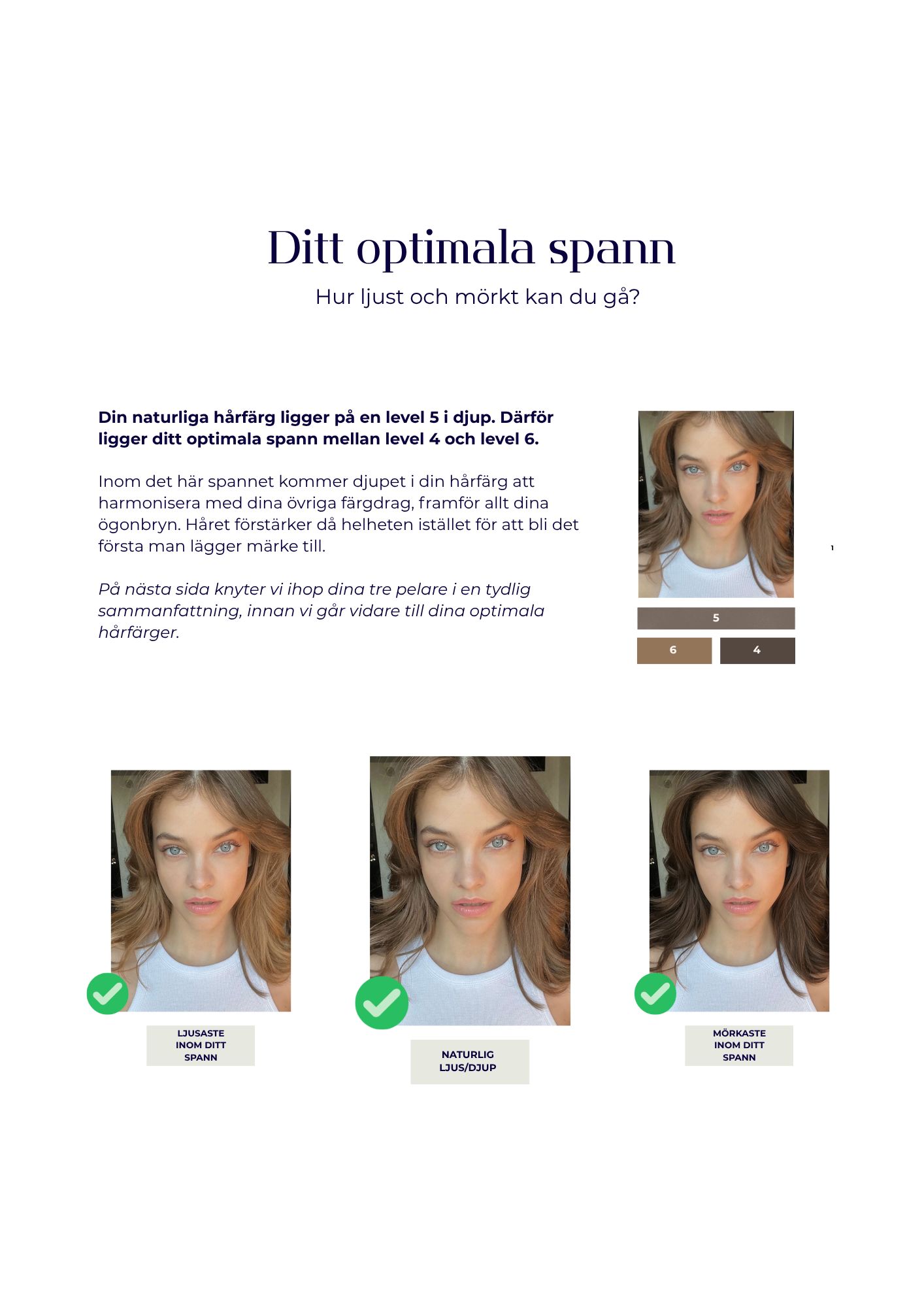 hår (2).png