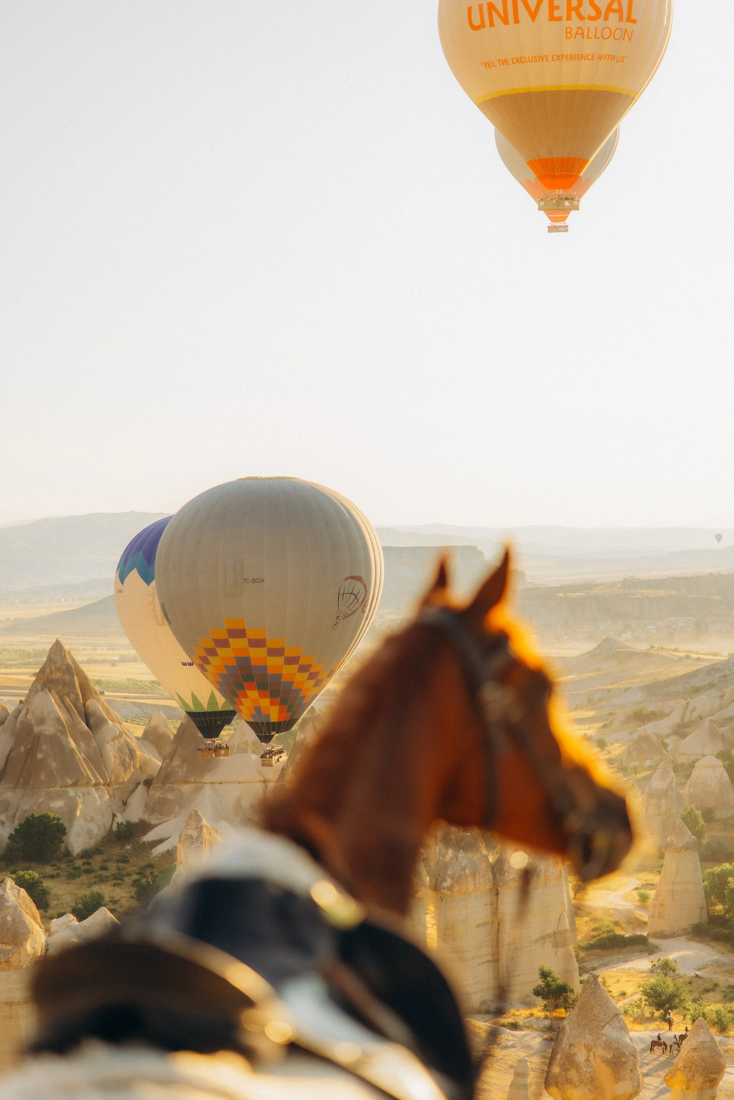 Hot air balloons floating in the sky over a rocky landscape in Kapadokya, with a horse in the foreground.